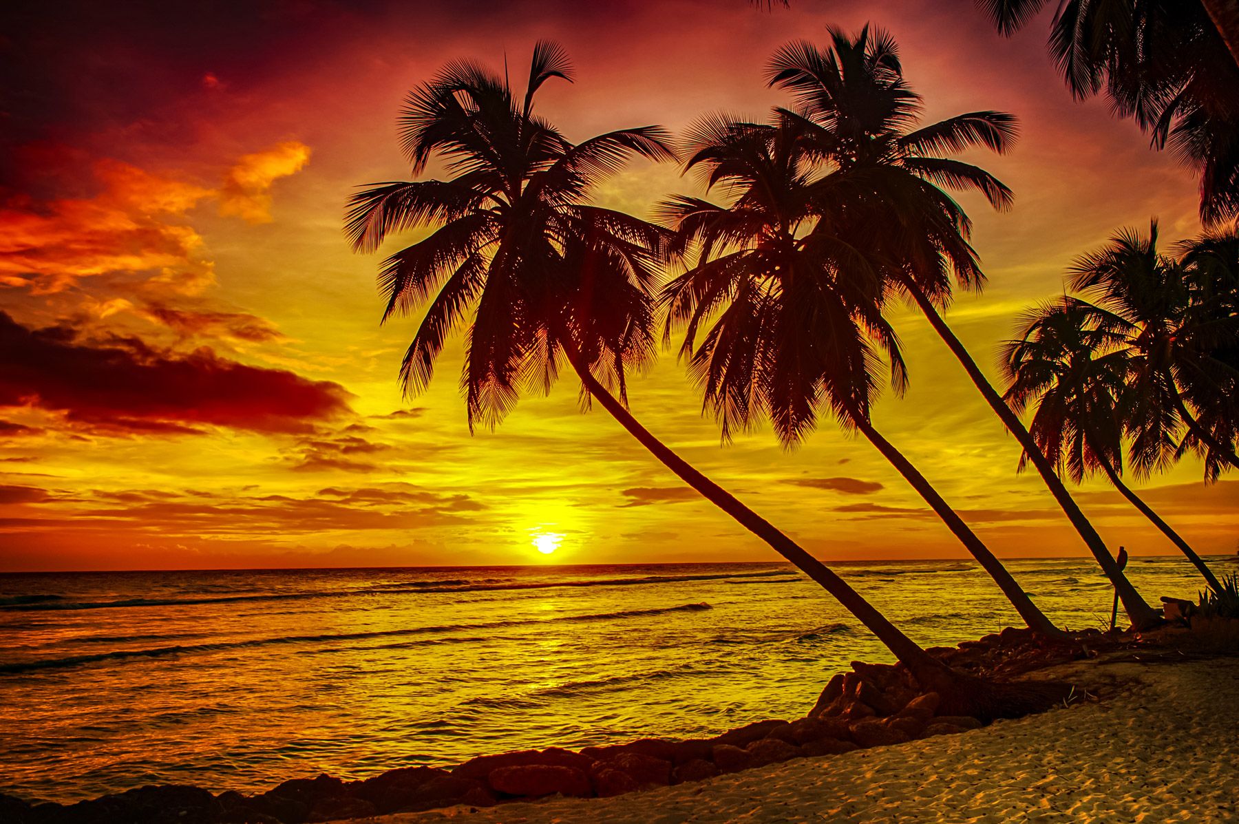 Best Time To Visit Barbados Seasonality, Weather & Events Sandals