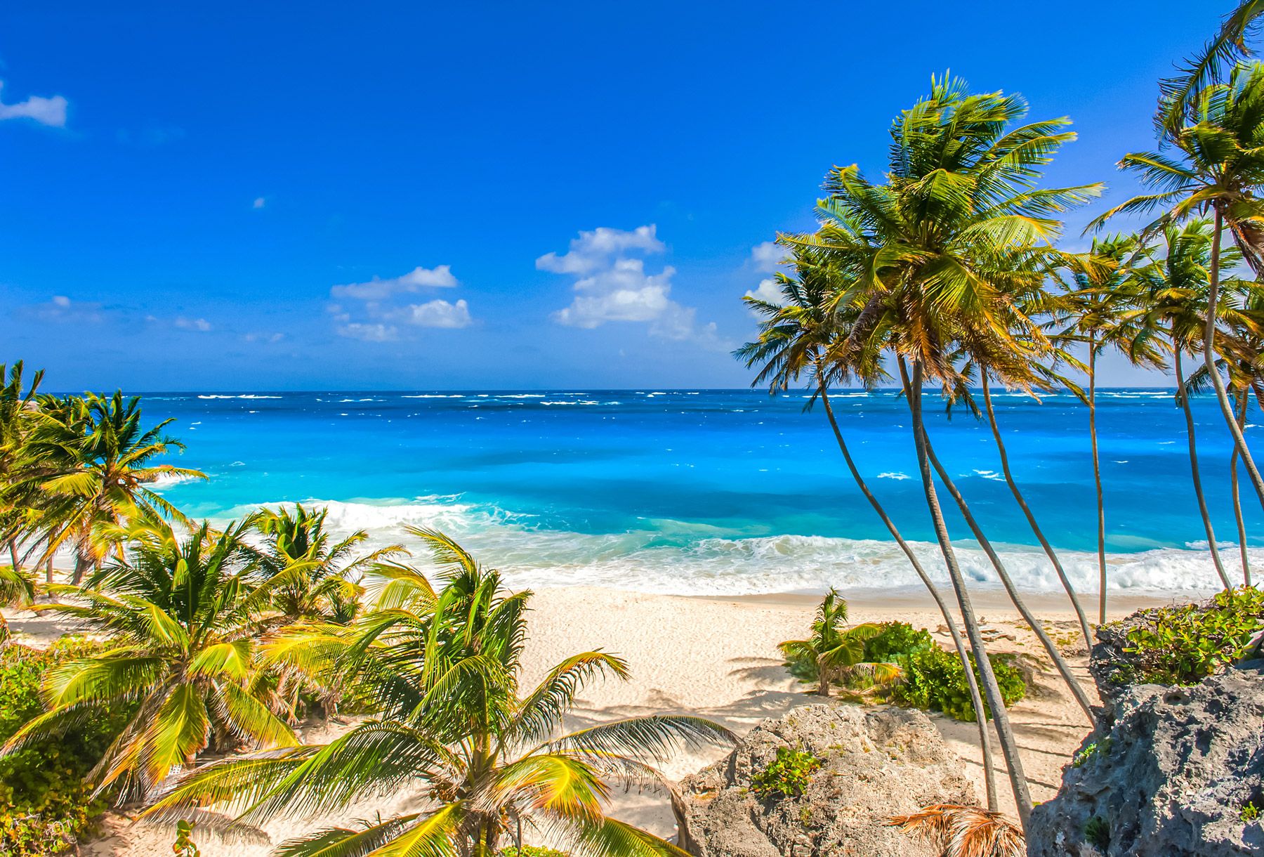 rainbow tours barbados