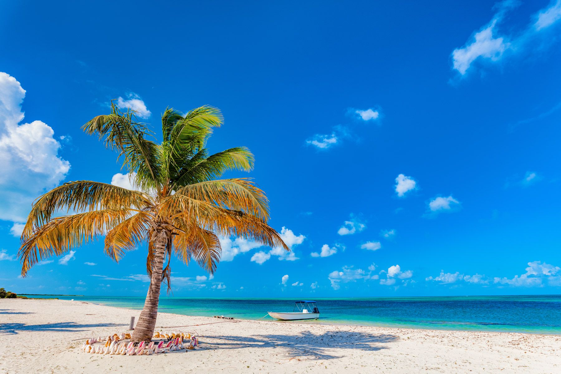 24-Tropical-beach-on-Barbuda-Island