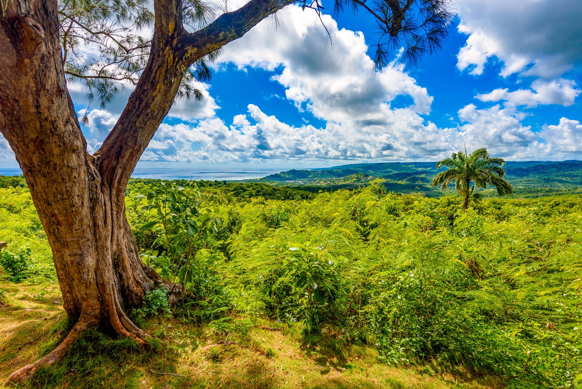 Farley-Hill-National-Park