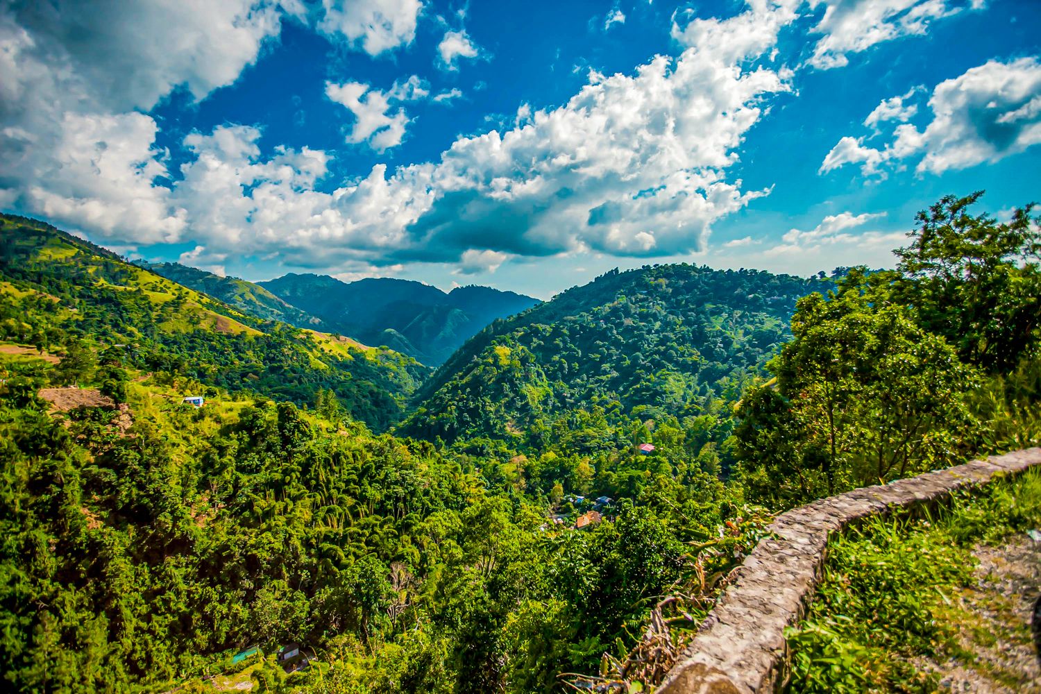 blue mountain coffee tour from negril