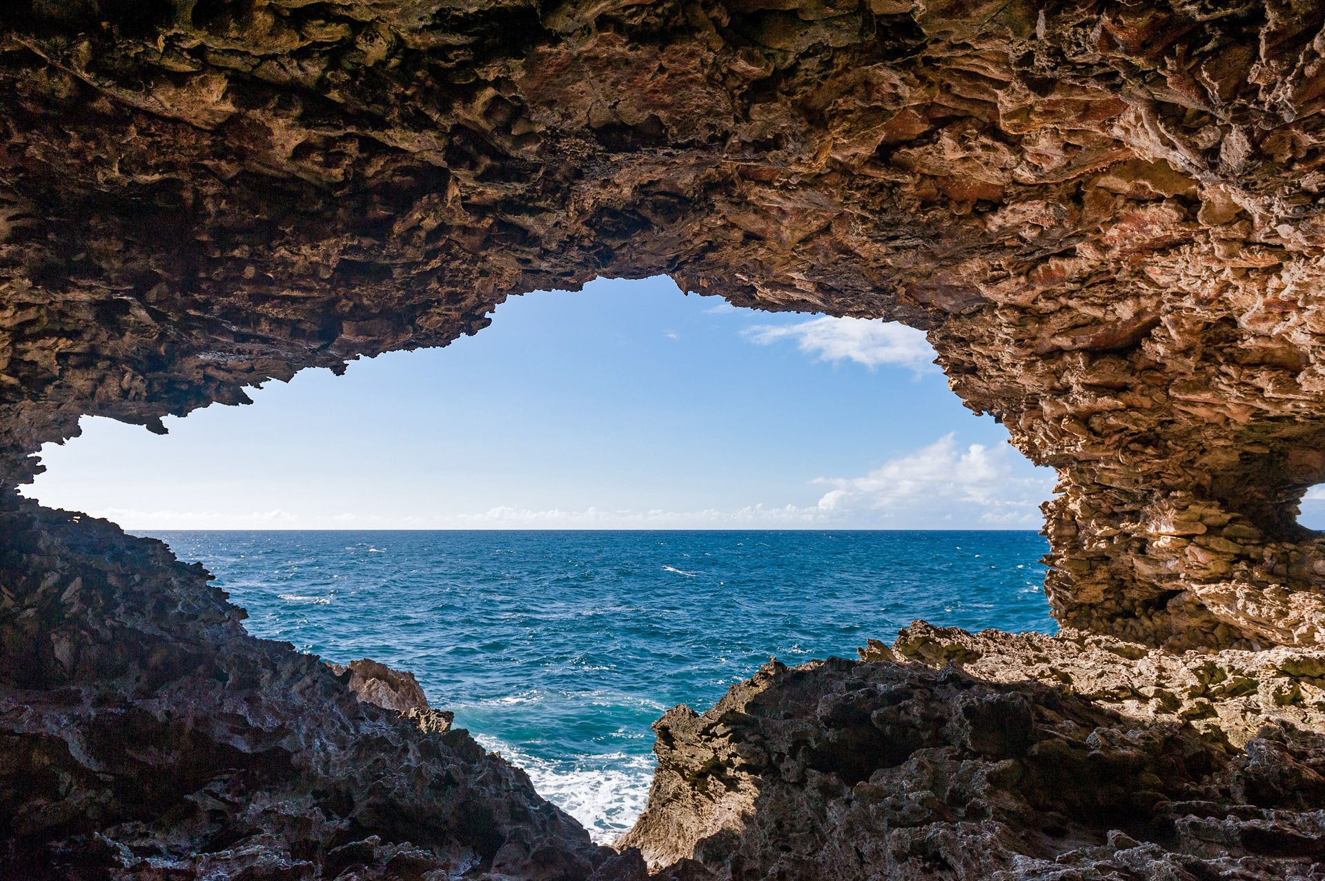 things-to-do-in-barbados-animal-flower-cave