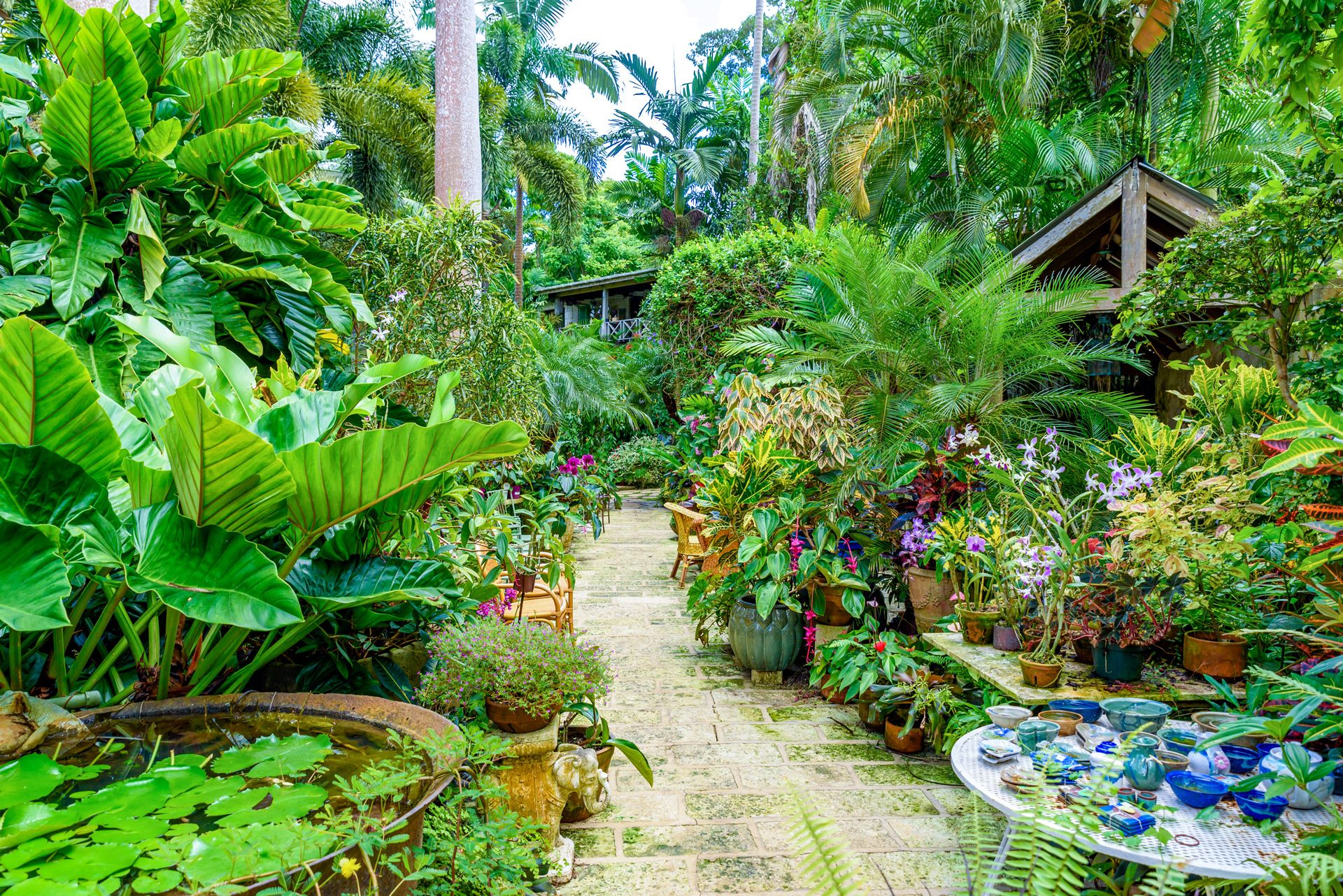 things-to-do-in-barbados-hunte-s-garden