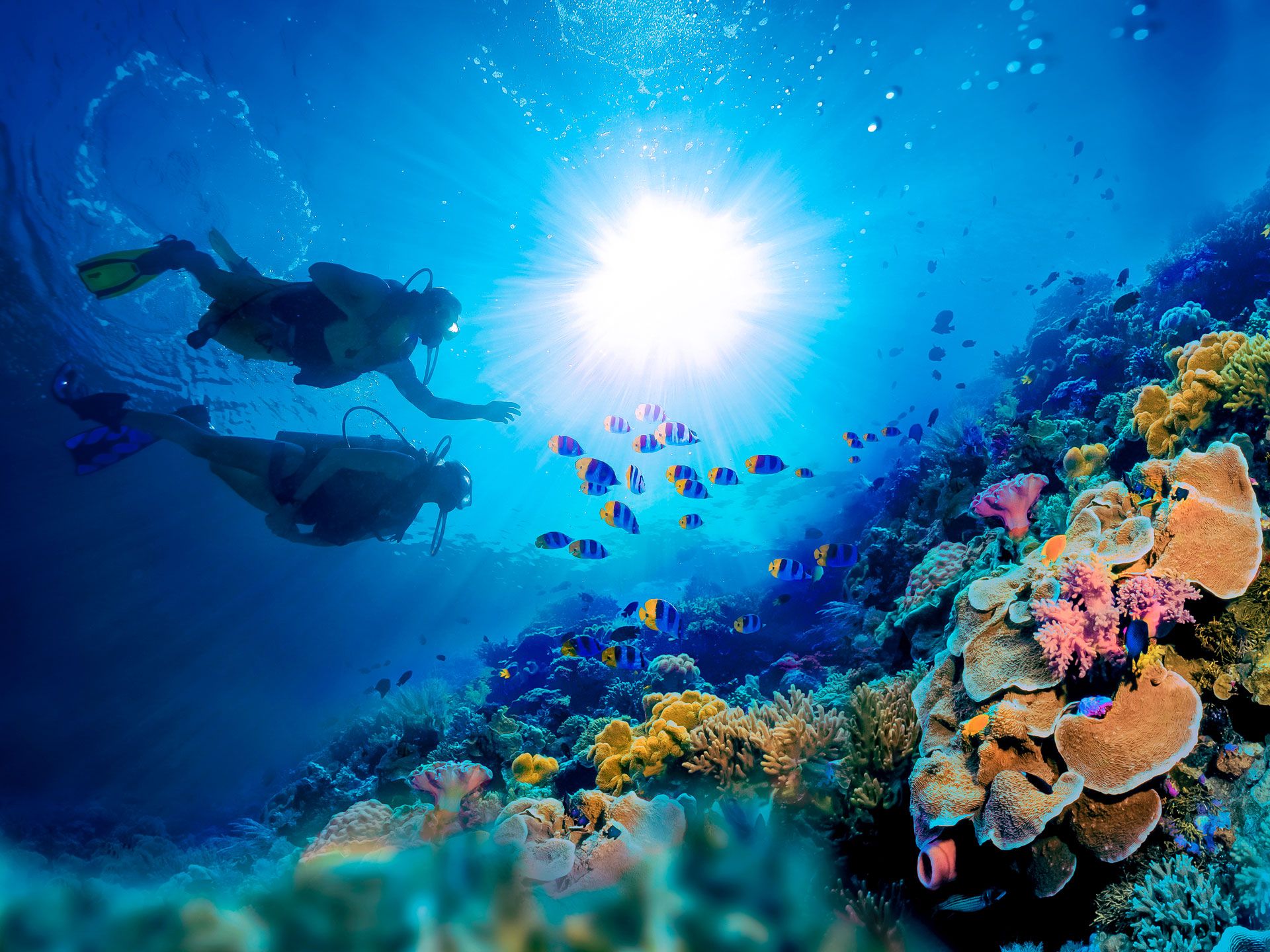 Die Top 50 Attraktionen auf den Bahamas