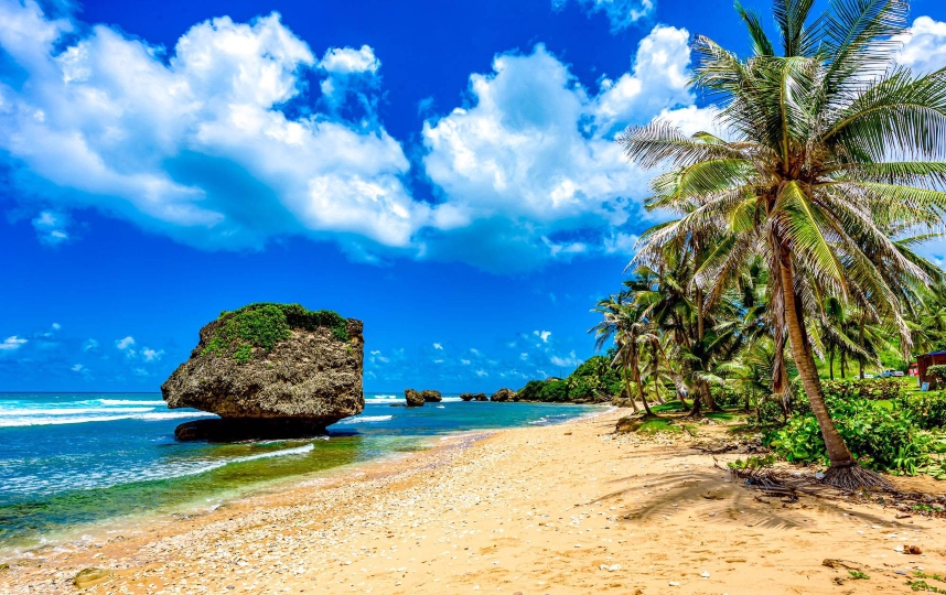 Barbados-Bathsheba-Beach