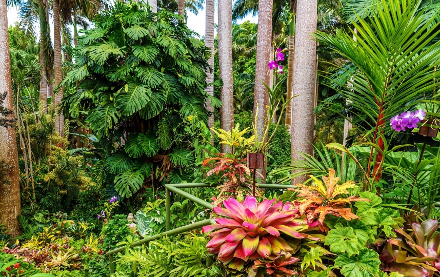 Barbados-Huntes-Gardens