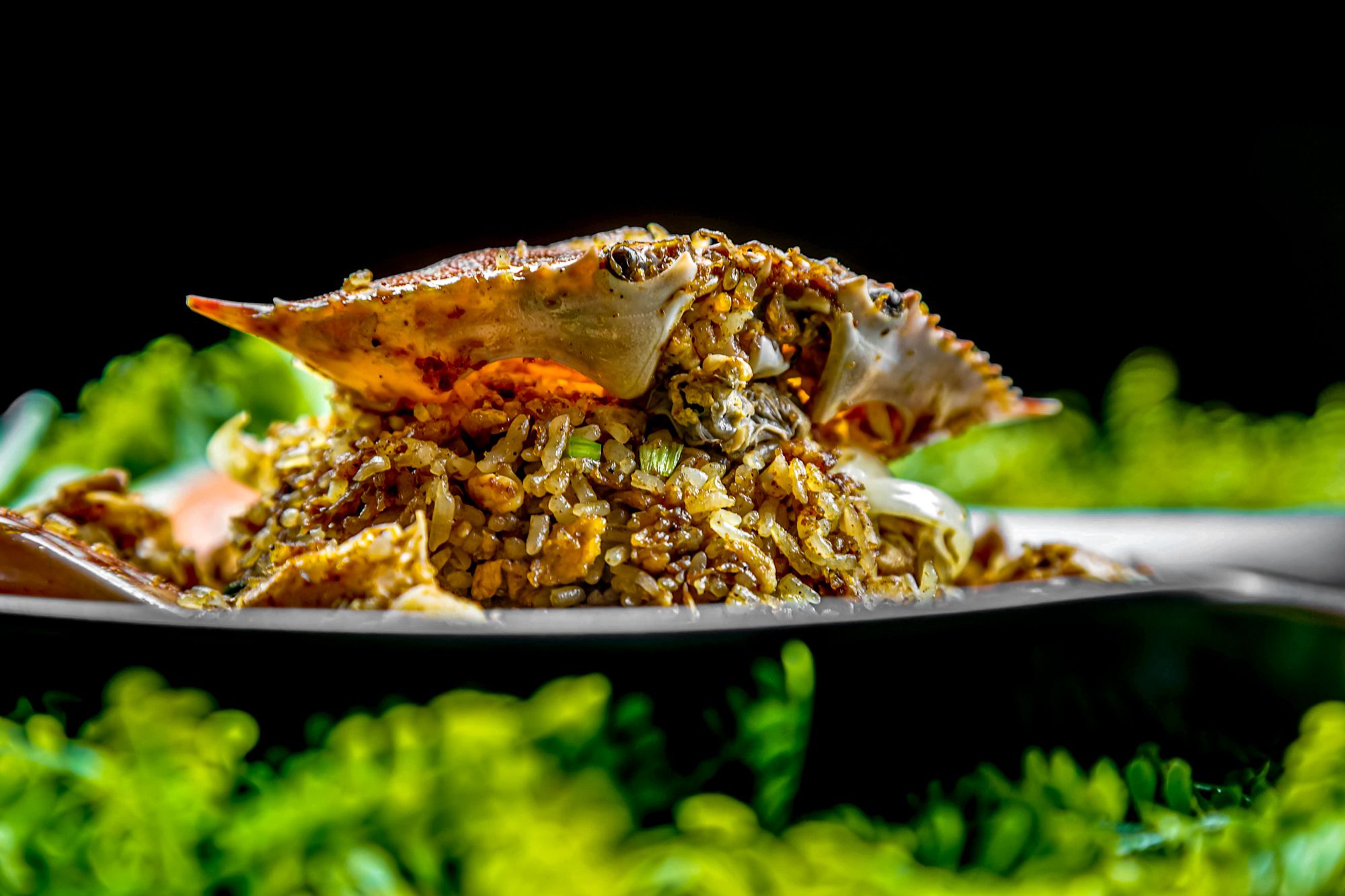 Crab-and-Rice-Bahamas-Food-15