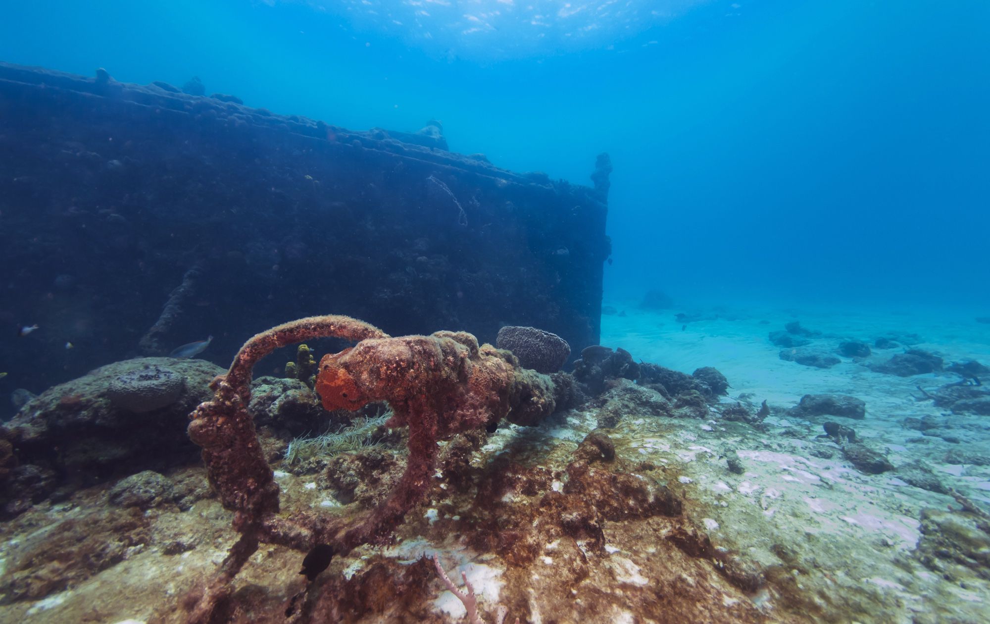 Berwyn-Wreck-Barbados---4