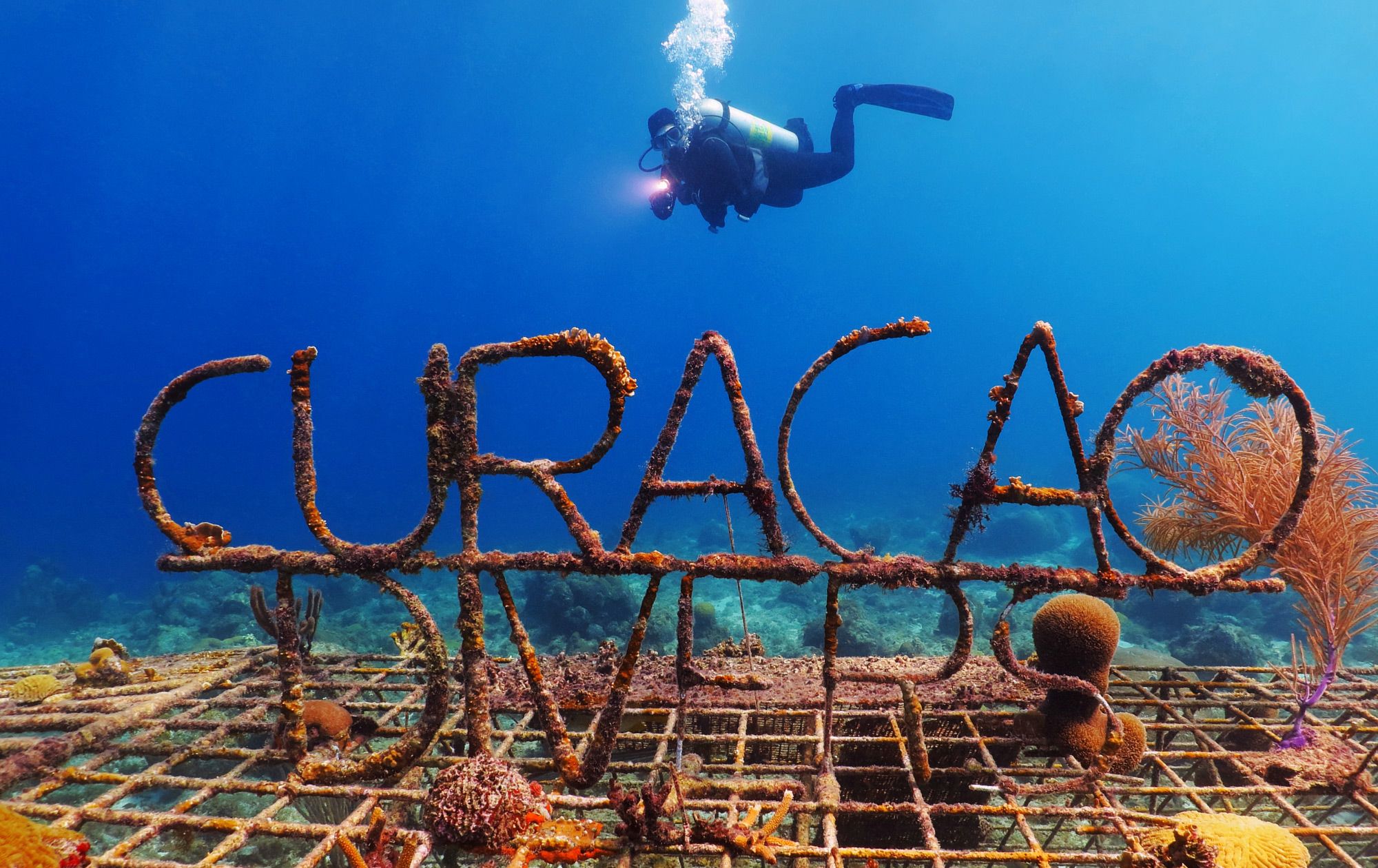 Scuba-Dive-Curacao---33