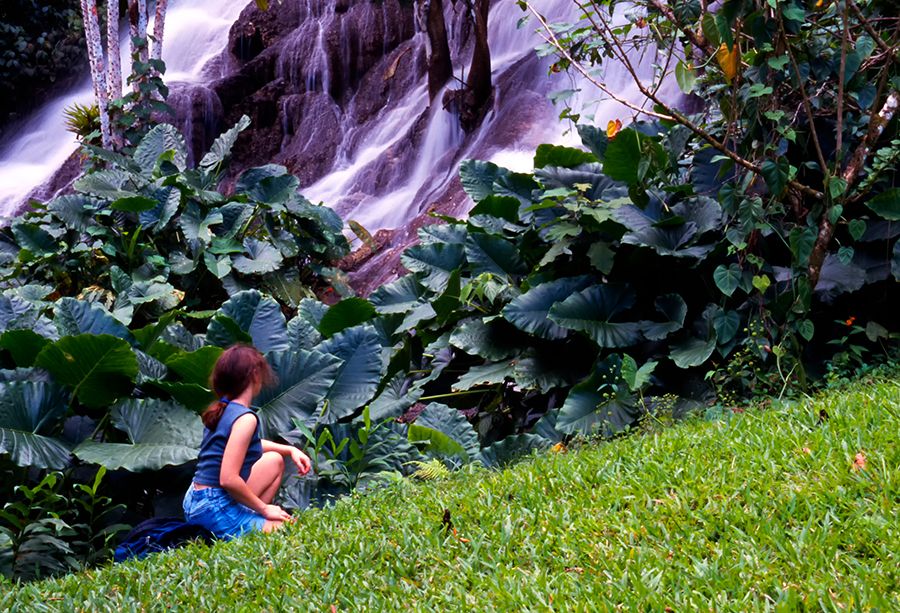 Scatter-Falls---10
