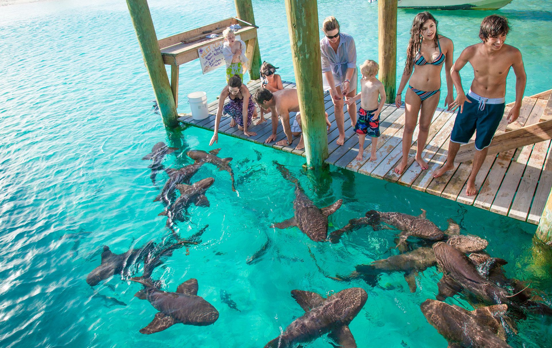 Caribbean Paradise: 40+ Best Beaches In The Bahamas
