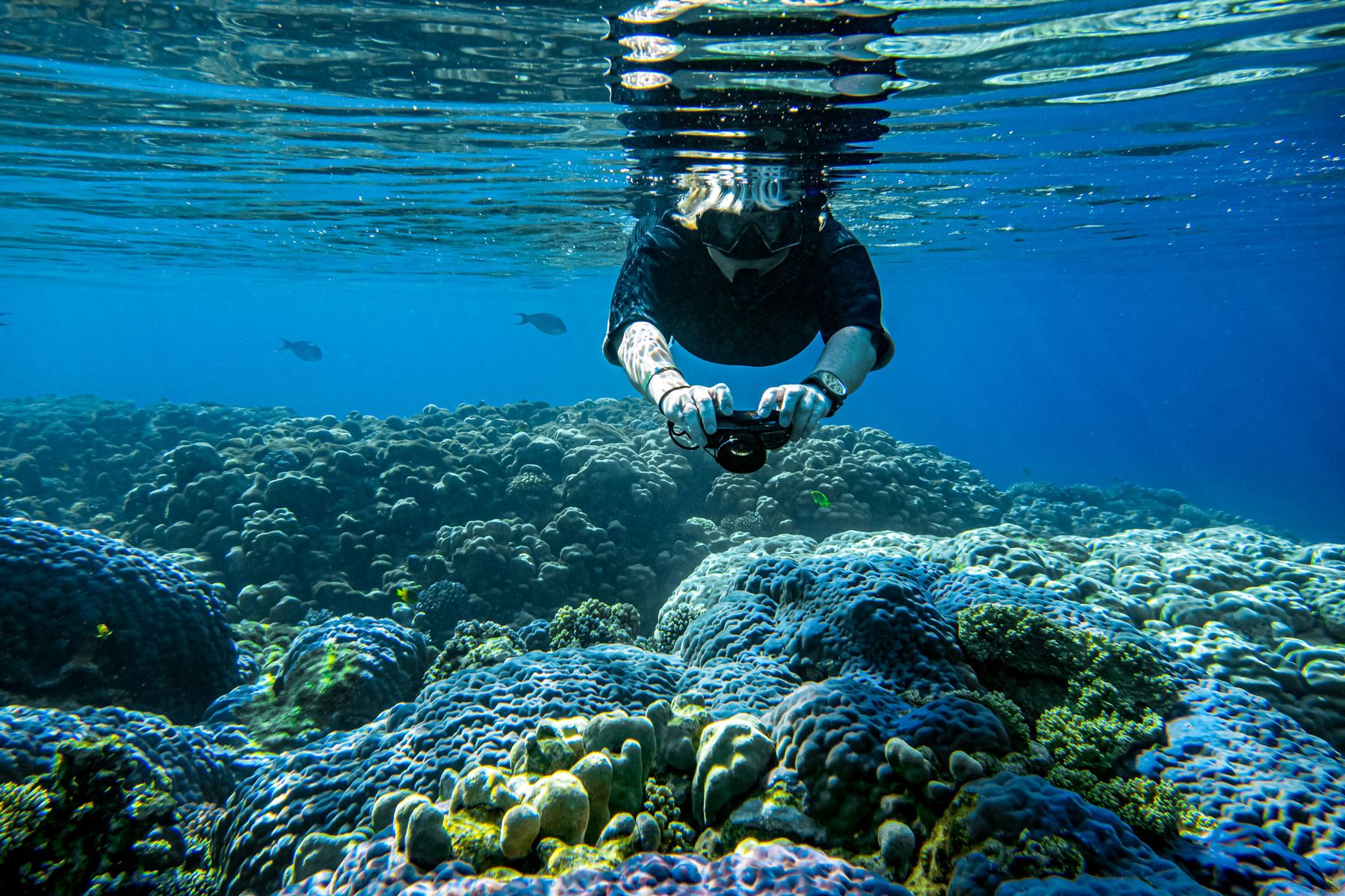 32-woman-takes-photo-underwater-corals-fishes