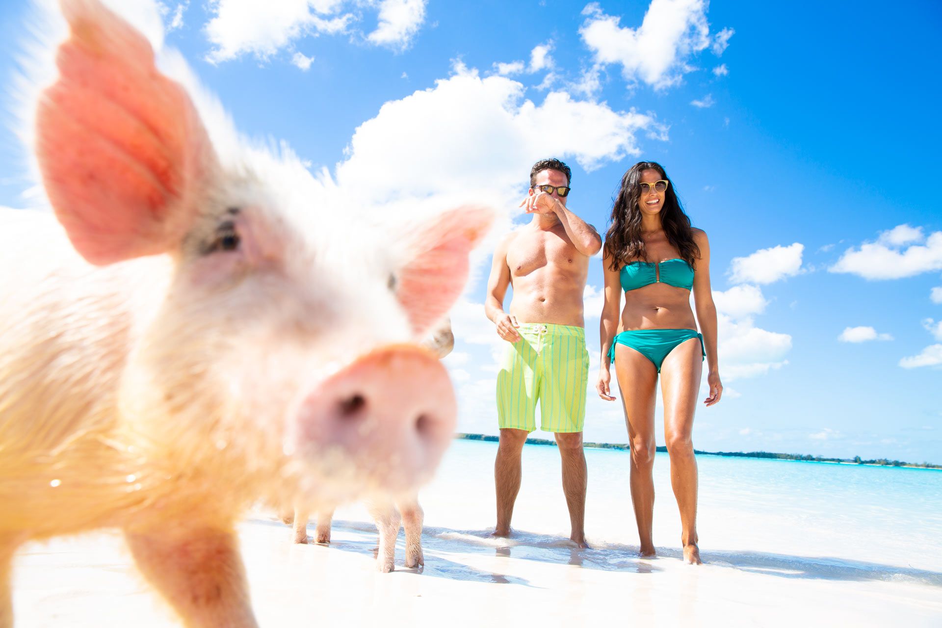 Caribbean Paradise: 40+ Best Beaches In The Bahamas