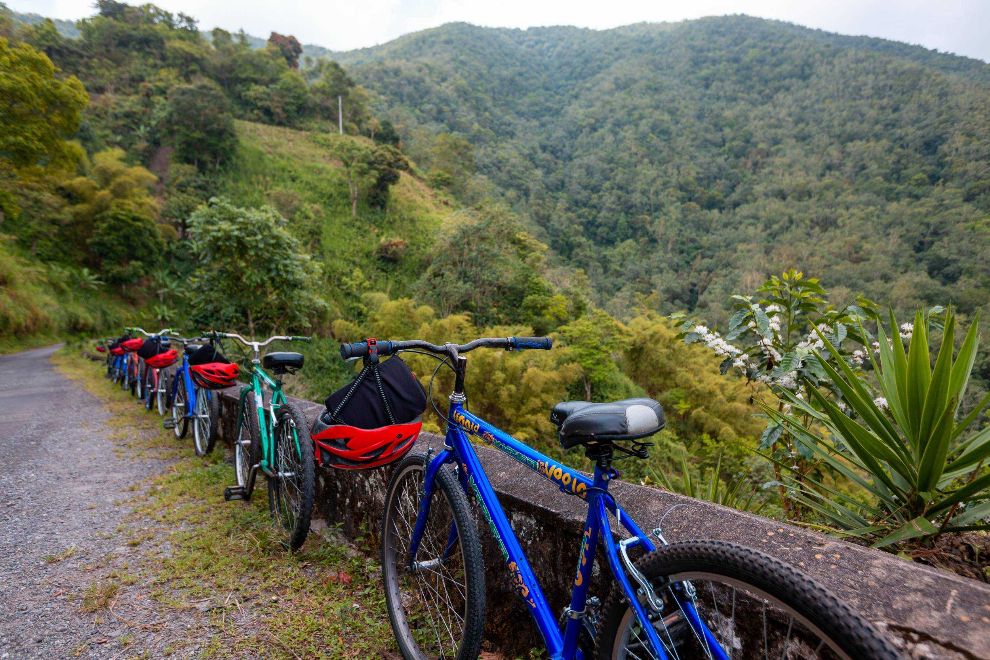 Never A Dull Moment In Ocho Rios Jamaica With These Amazing Things To Do!