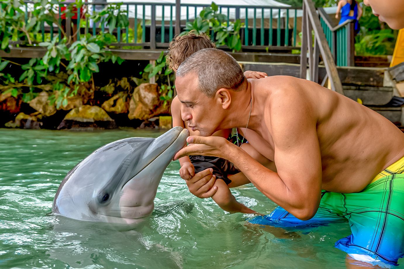 Dolphin-Swim-Jamaica---13