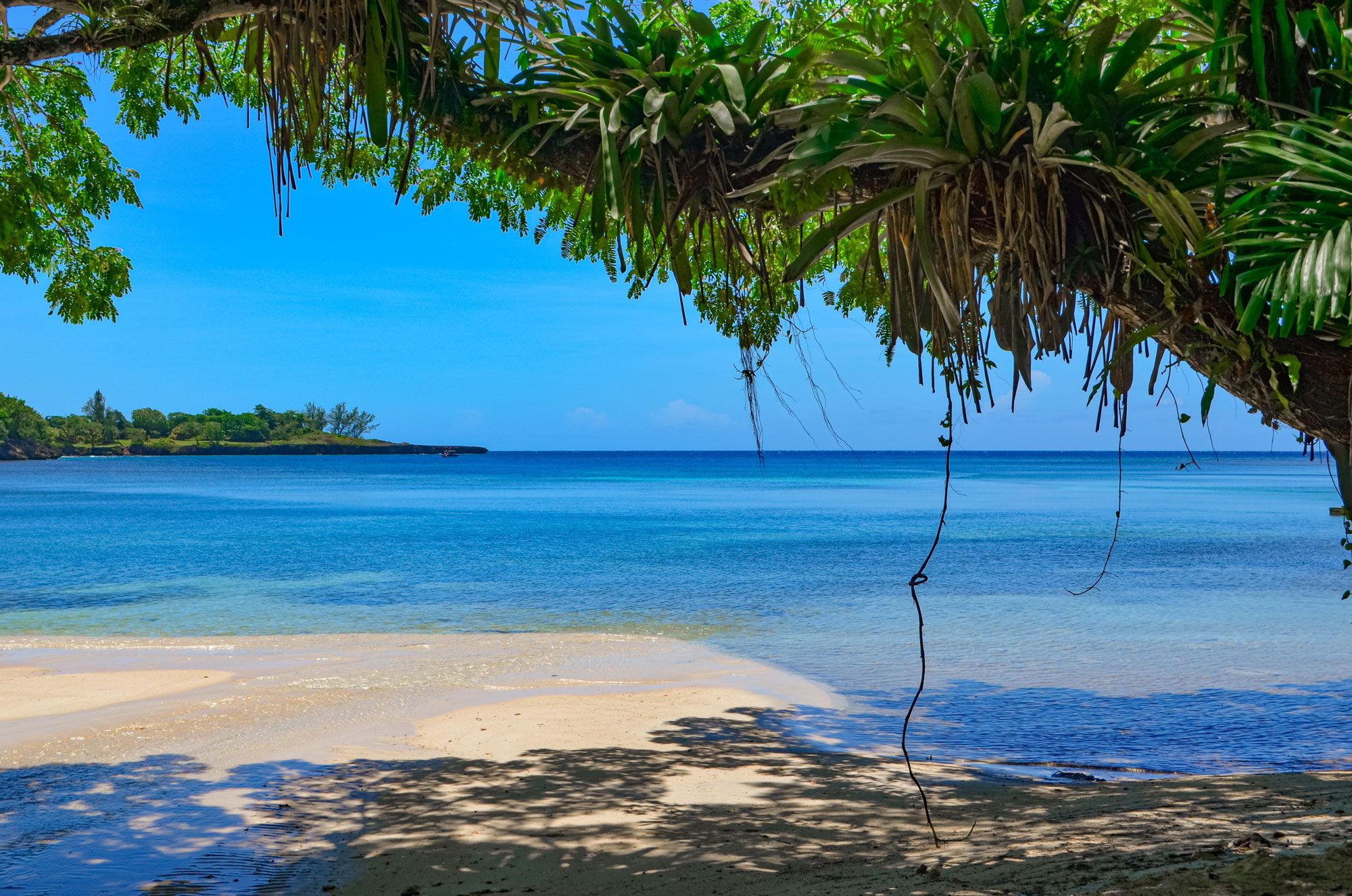 Never A Dull Moment In Ocho Rios Jamaica With These Amazing Things To Do!