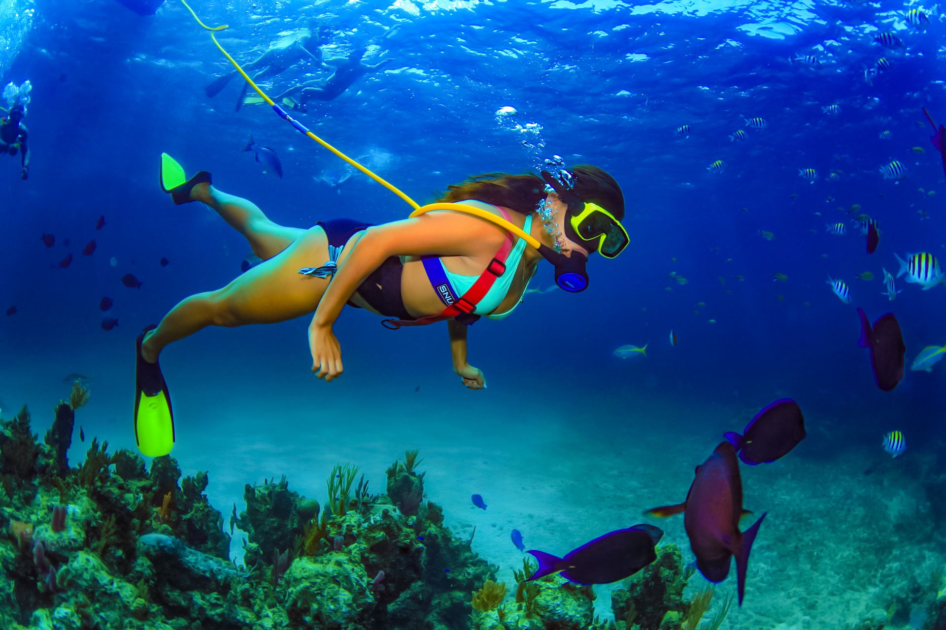 Snuba-Diving-Jamaica-23