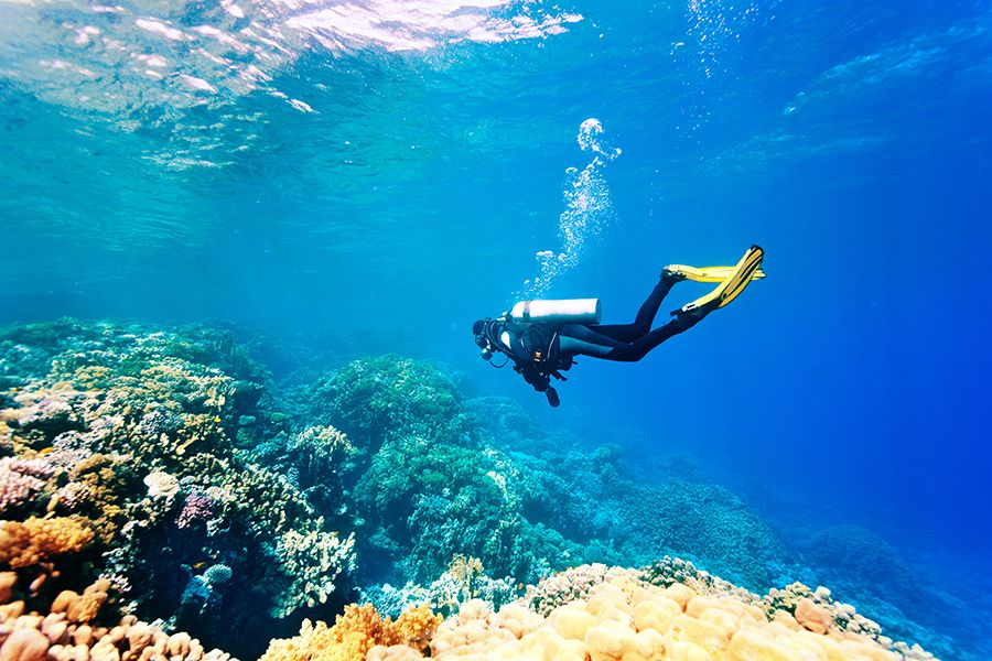 The 28 Best Scuba Diving Sites In The Caribbean