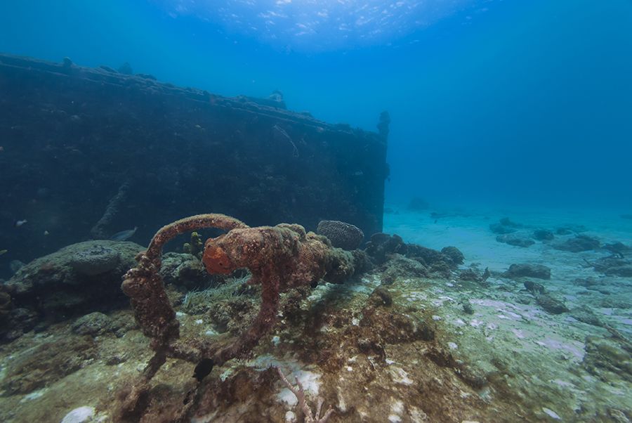 The 28 Best Scuba Diving Sites In The Caribbean