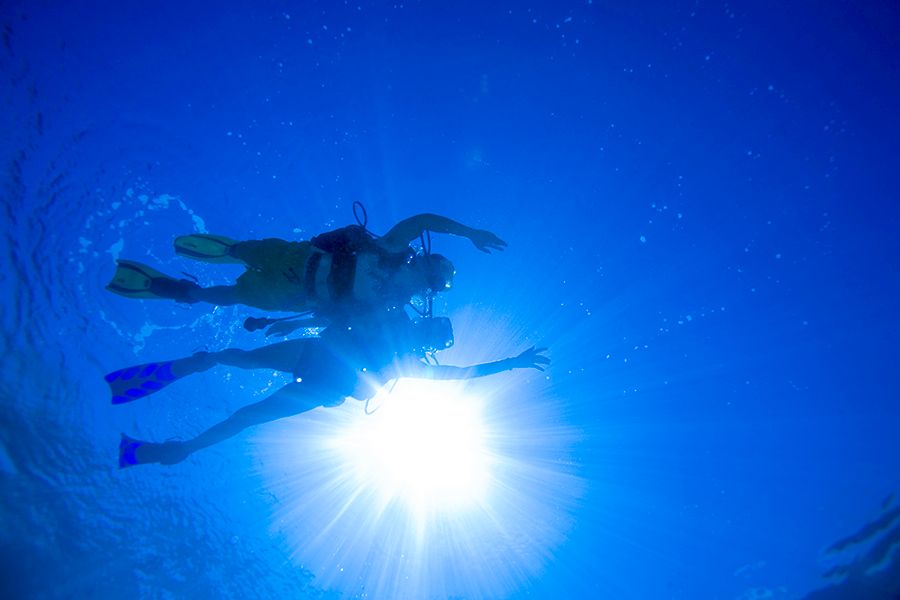 The 28 Best Scuba Diving Sites In The Caribbean