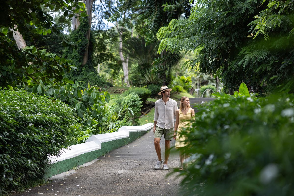 Things St Vincent Is Known For & Why You Should Absolutely Visit This Island