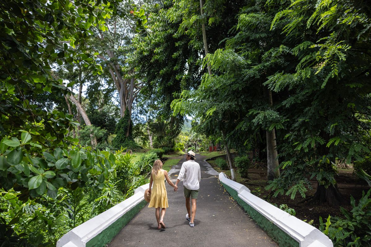 Things St Vincent Is Known For & Why You Should Absolutely Visit This Island