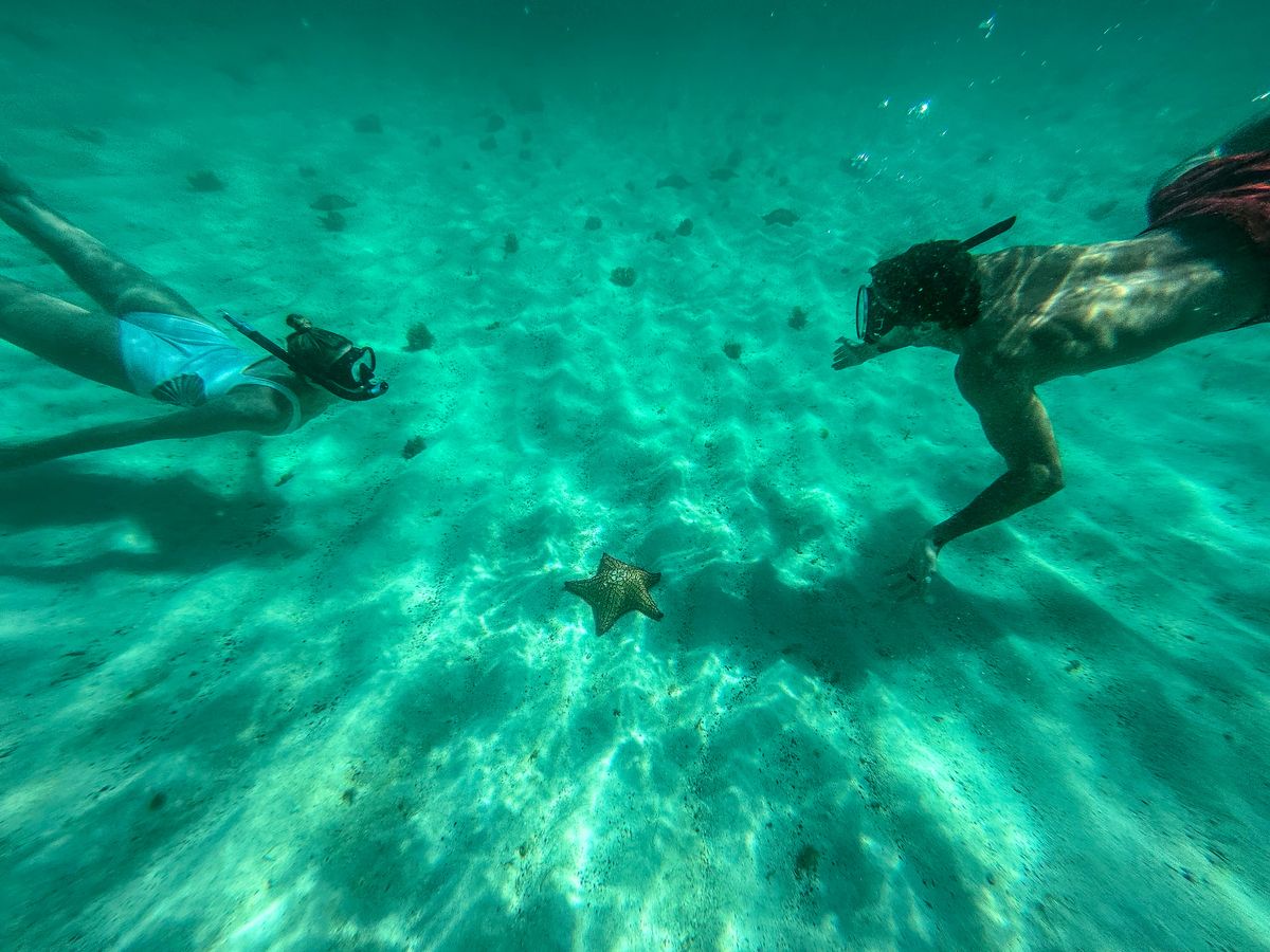 Dafür ist St. Vincent bekannt und warum sich eine Reise lohnt