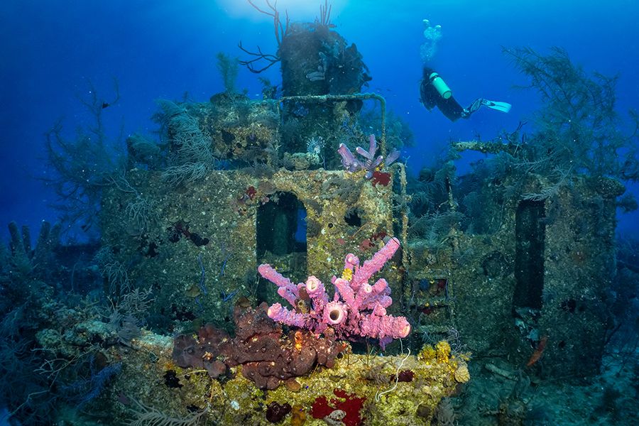 The 28 Best Scuba Diving Sites In The Caribbean