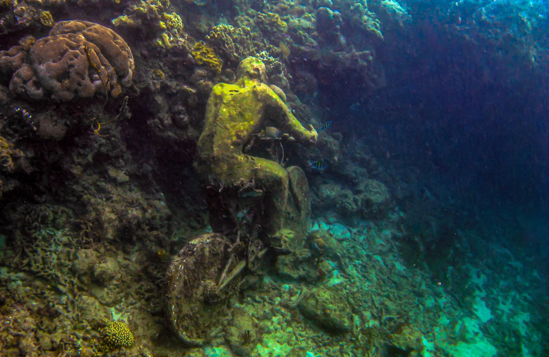 All You Need To Know About The Grenada Underwater Sculpture Park