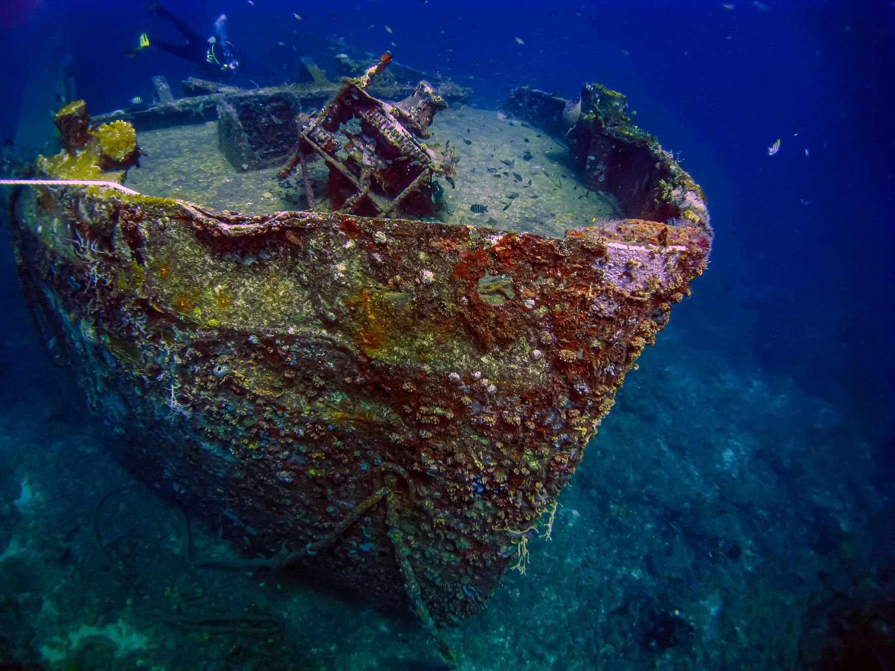 All You Need To Know About The Grenada Underwater Sculpture Park