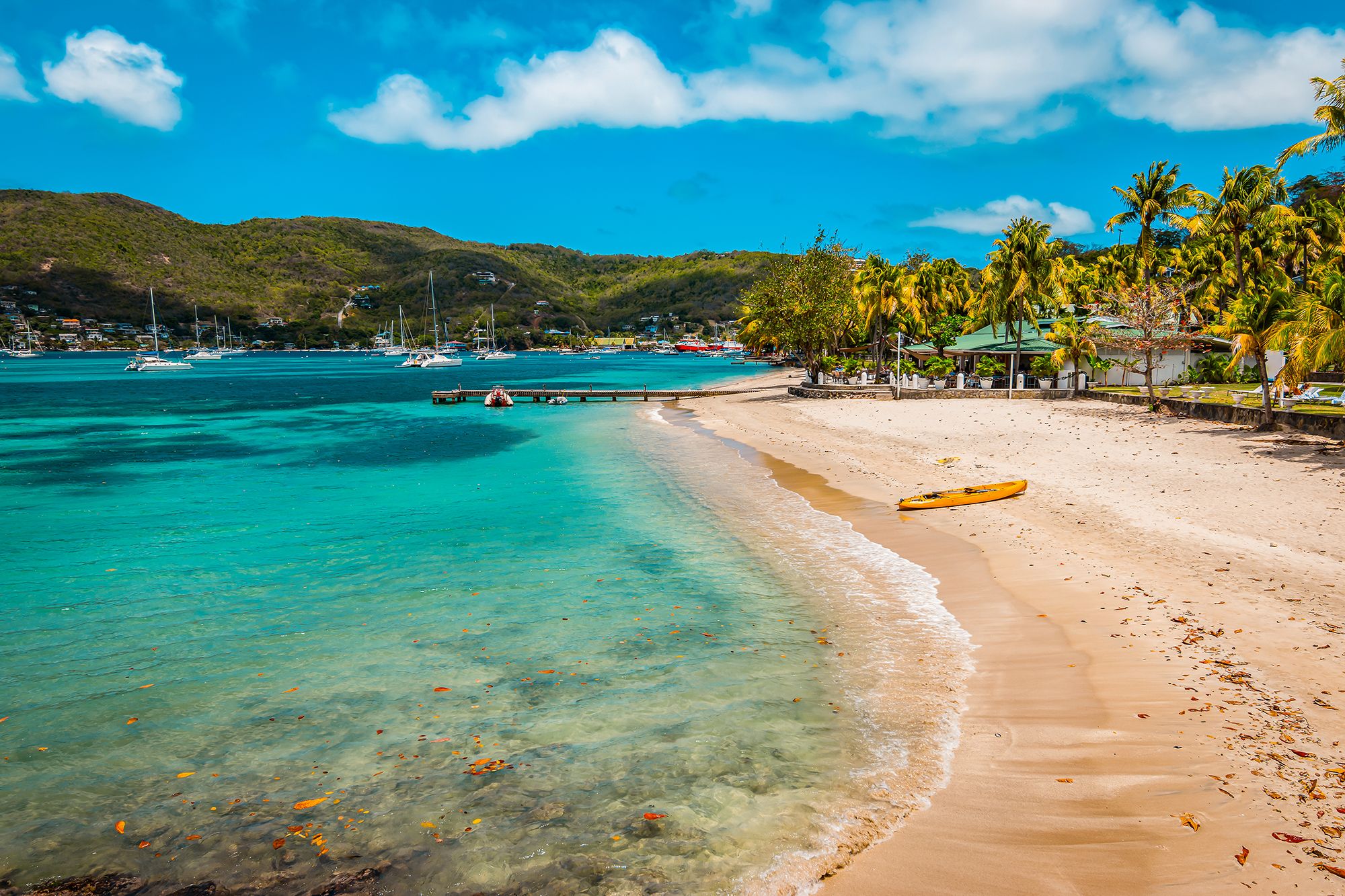 Your Island Guide To The Best Snorkelling In St Vincent & the Grenadines