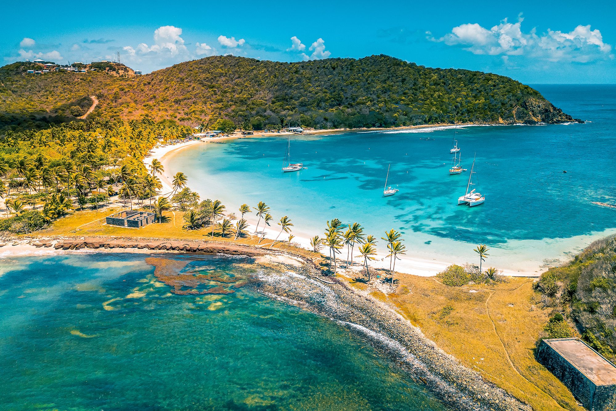 Your Island Guide To The Best Snorkelling In St Vincent & the Grenadines