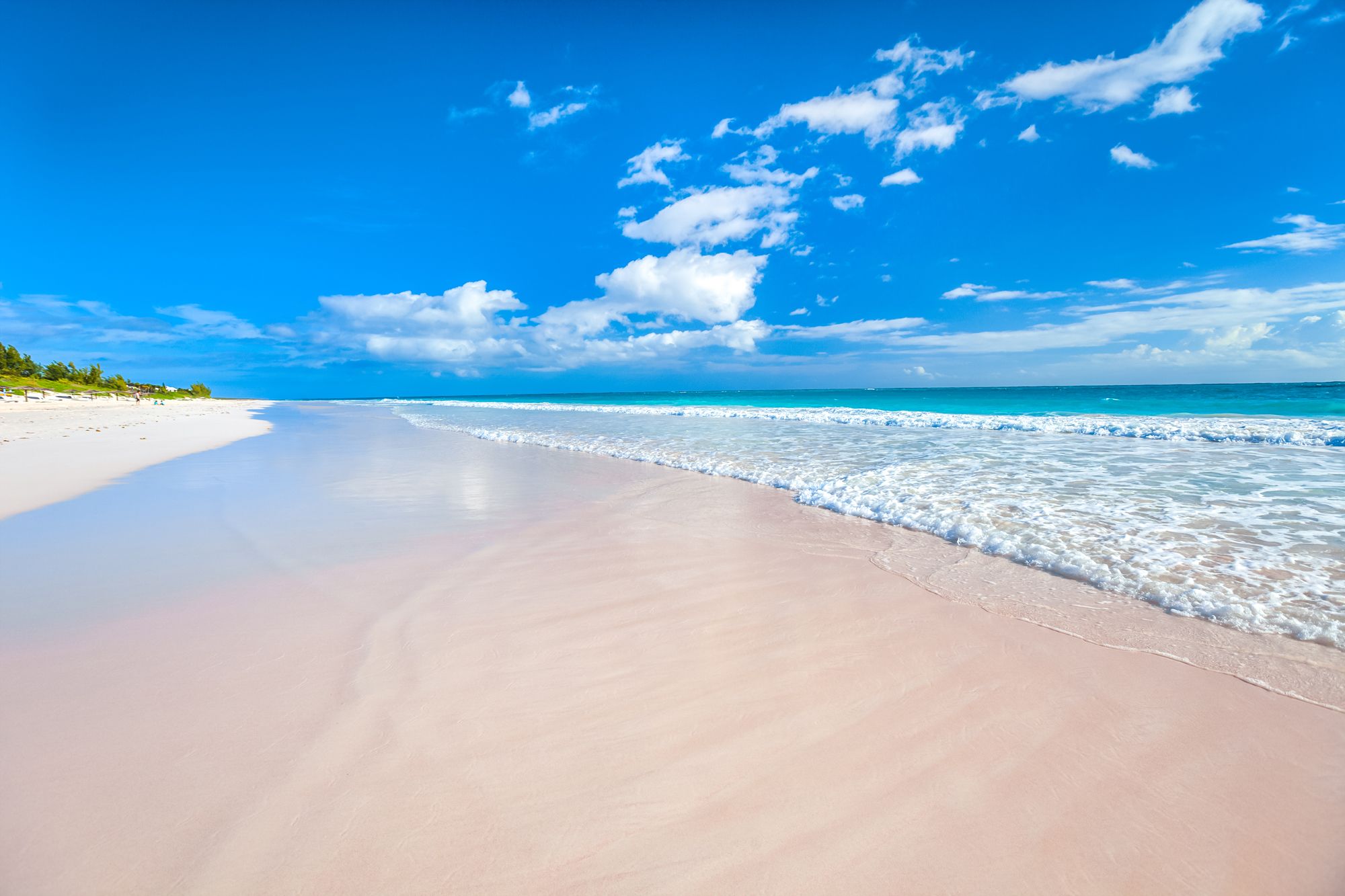 20 Amazing Things The Bahamas Is Known For