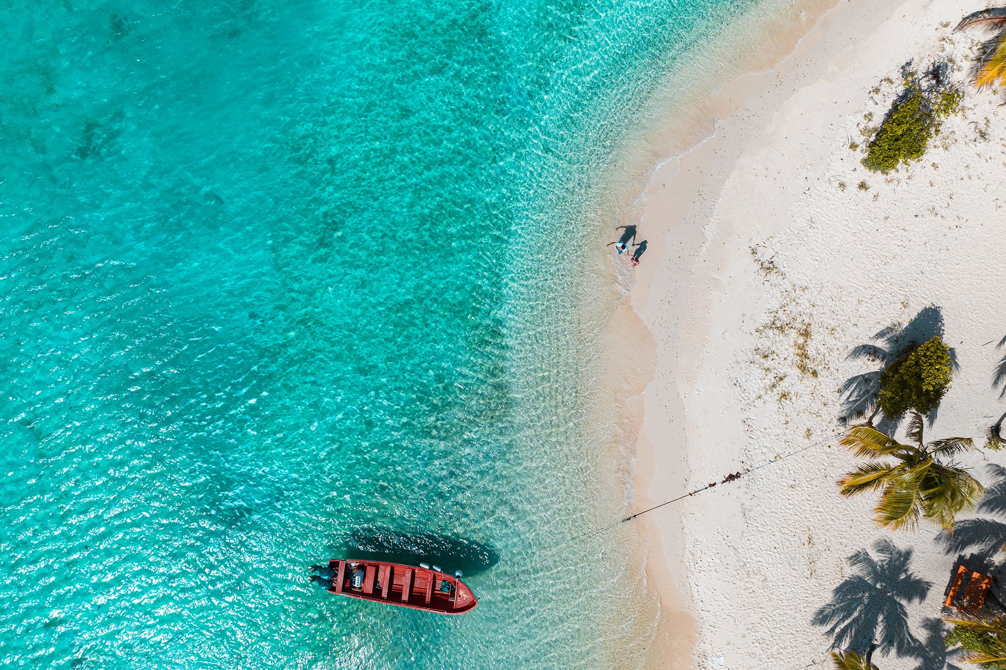 Your Island Guide To The Best Snorkelling In St Vincent & the Grenadines