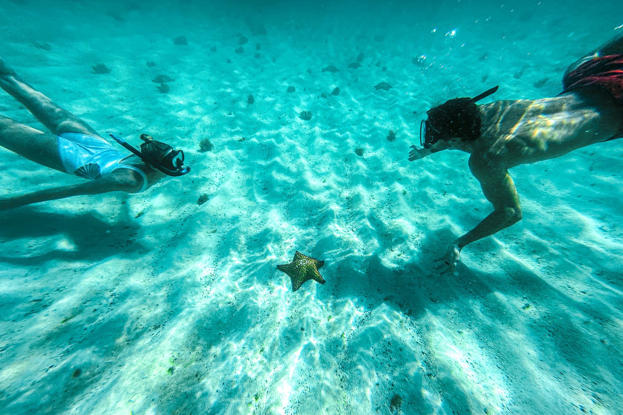 Saint-Vincent-Underwater-Snorkeling-Couple-Starfish---1