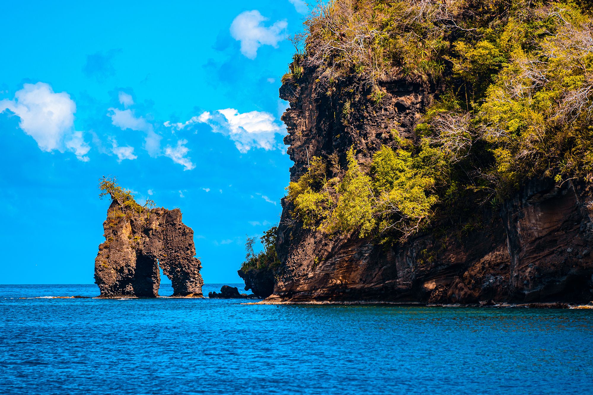 Your Island Guide To The Best Snorkelling In St Vincent & the Grenadines