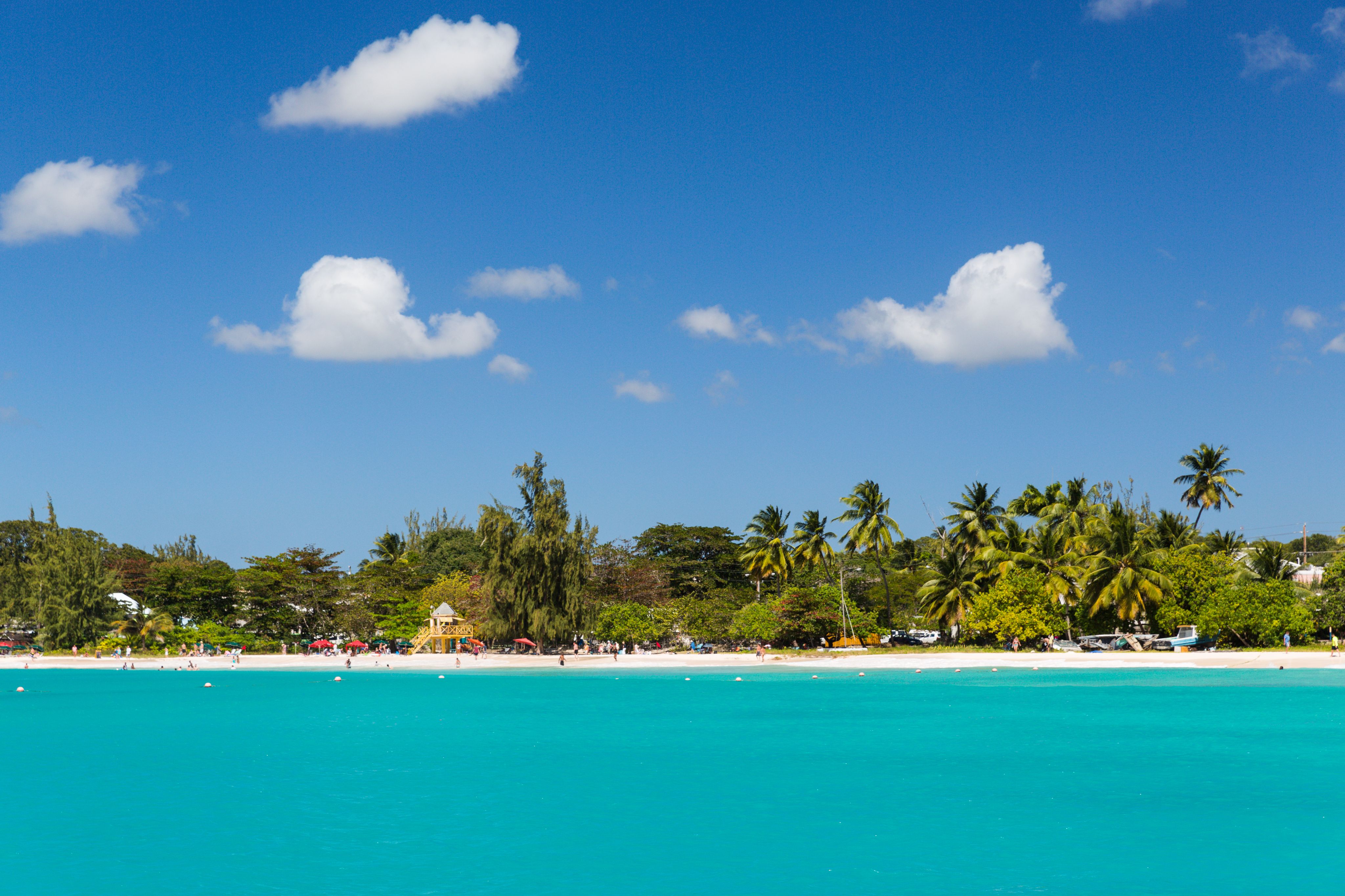 Escape the Crowds and Discover Enterprise Beach, Barbados