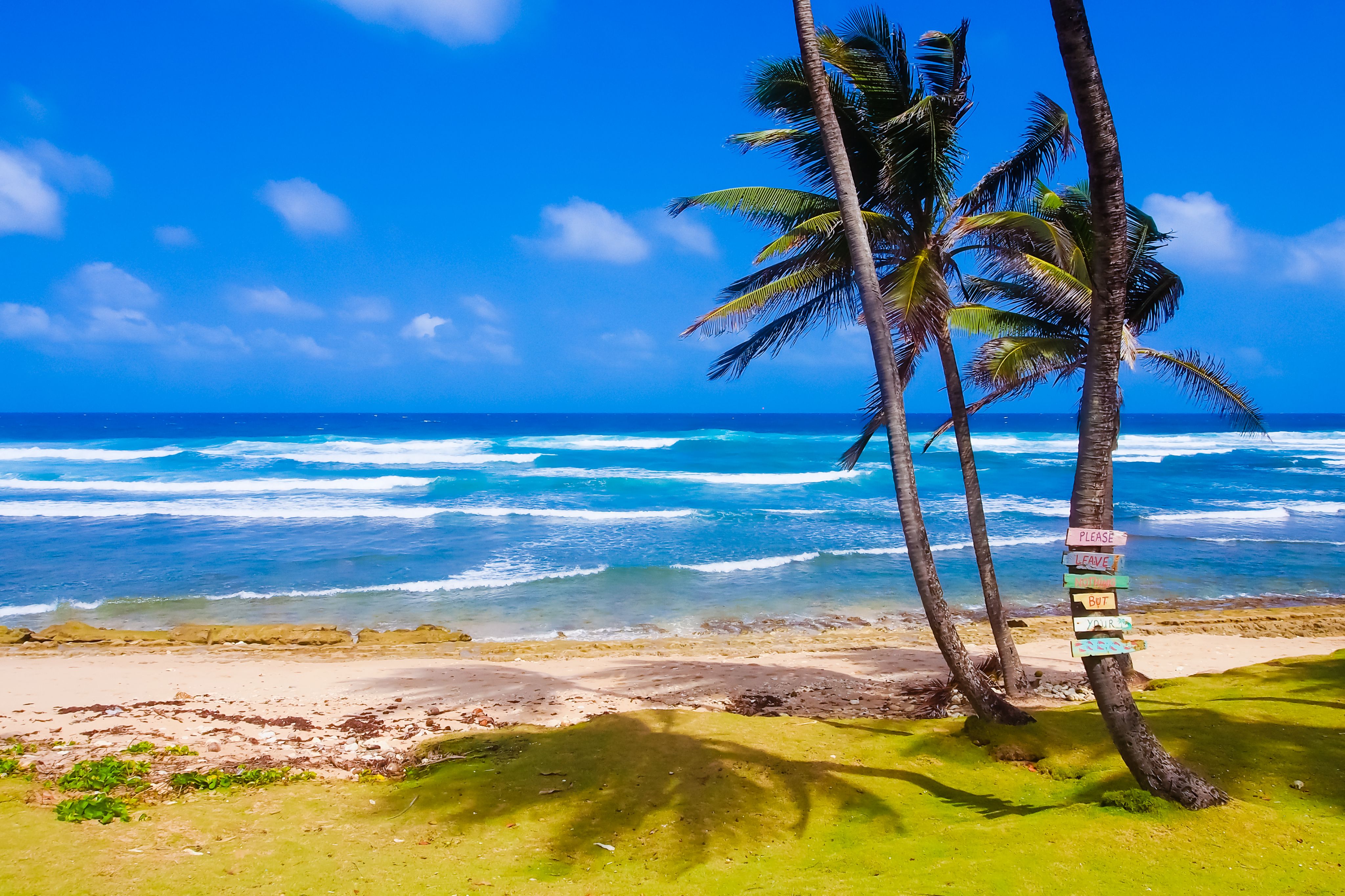 Planning a Barbados Trip? Don't Miss Bathsheba Beach