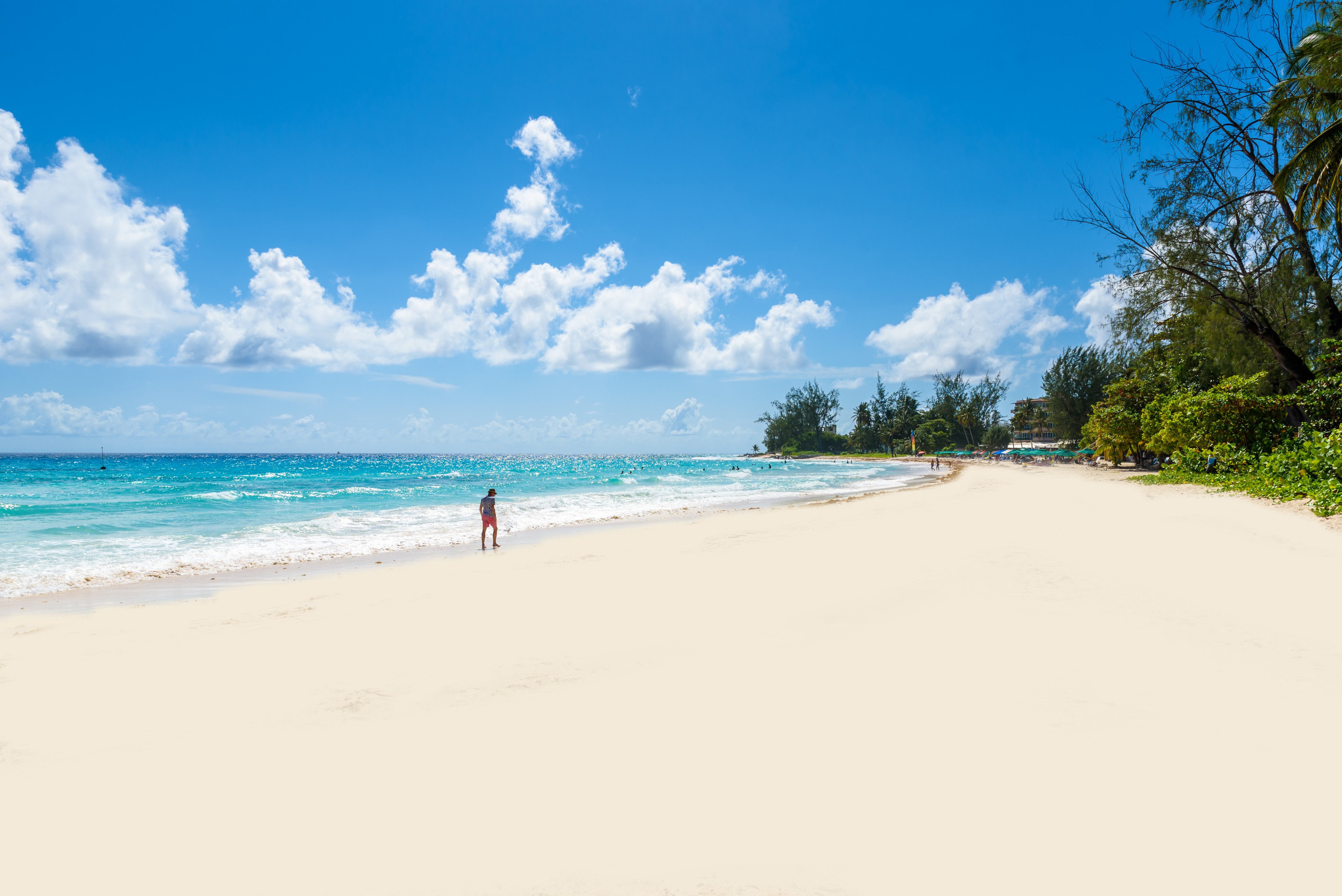 shutterstock_1036958293--1-