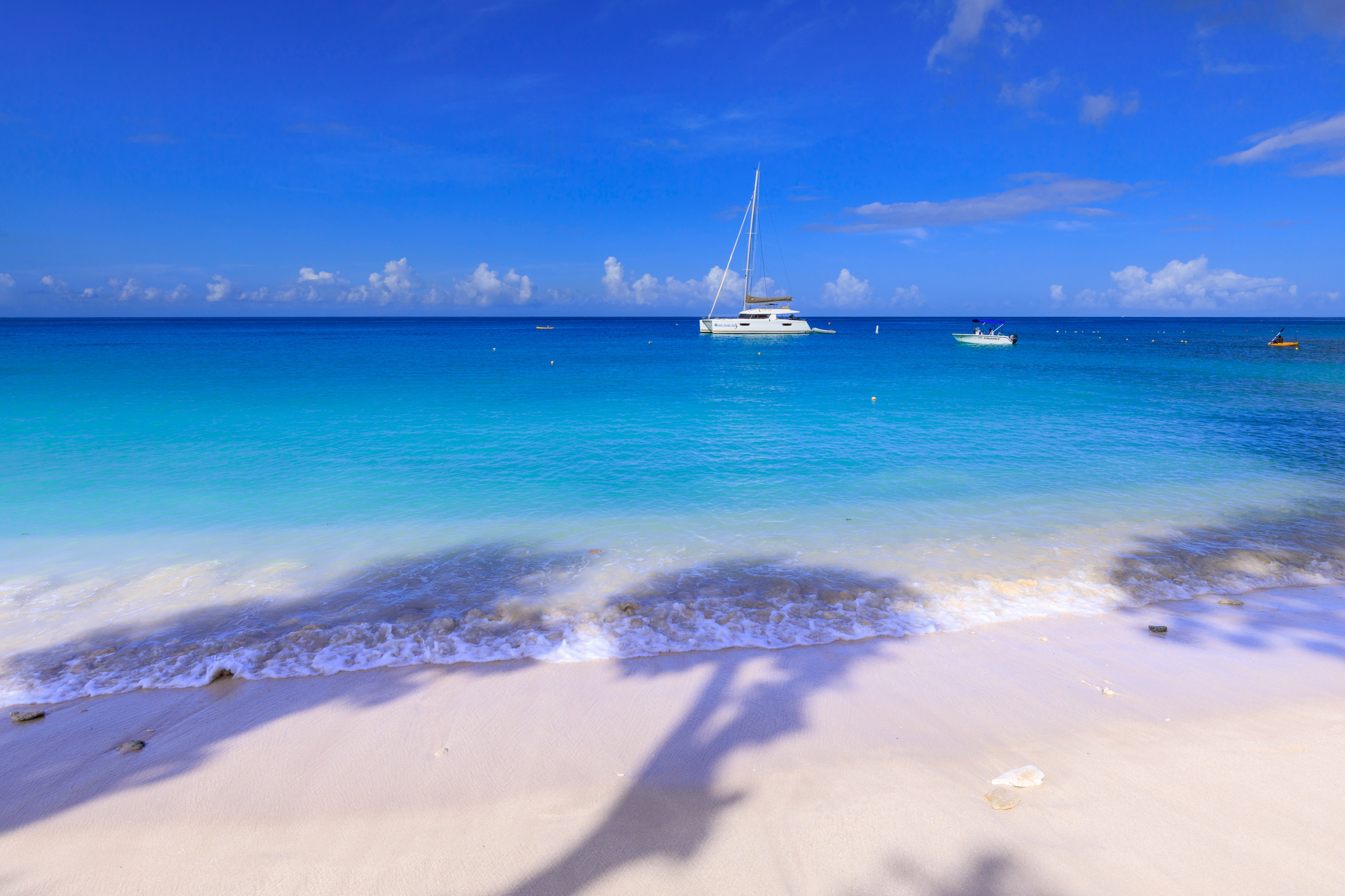 Discover Everything You Need to Know About Paynes Bay Beach, Barbados