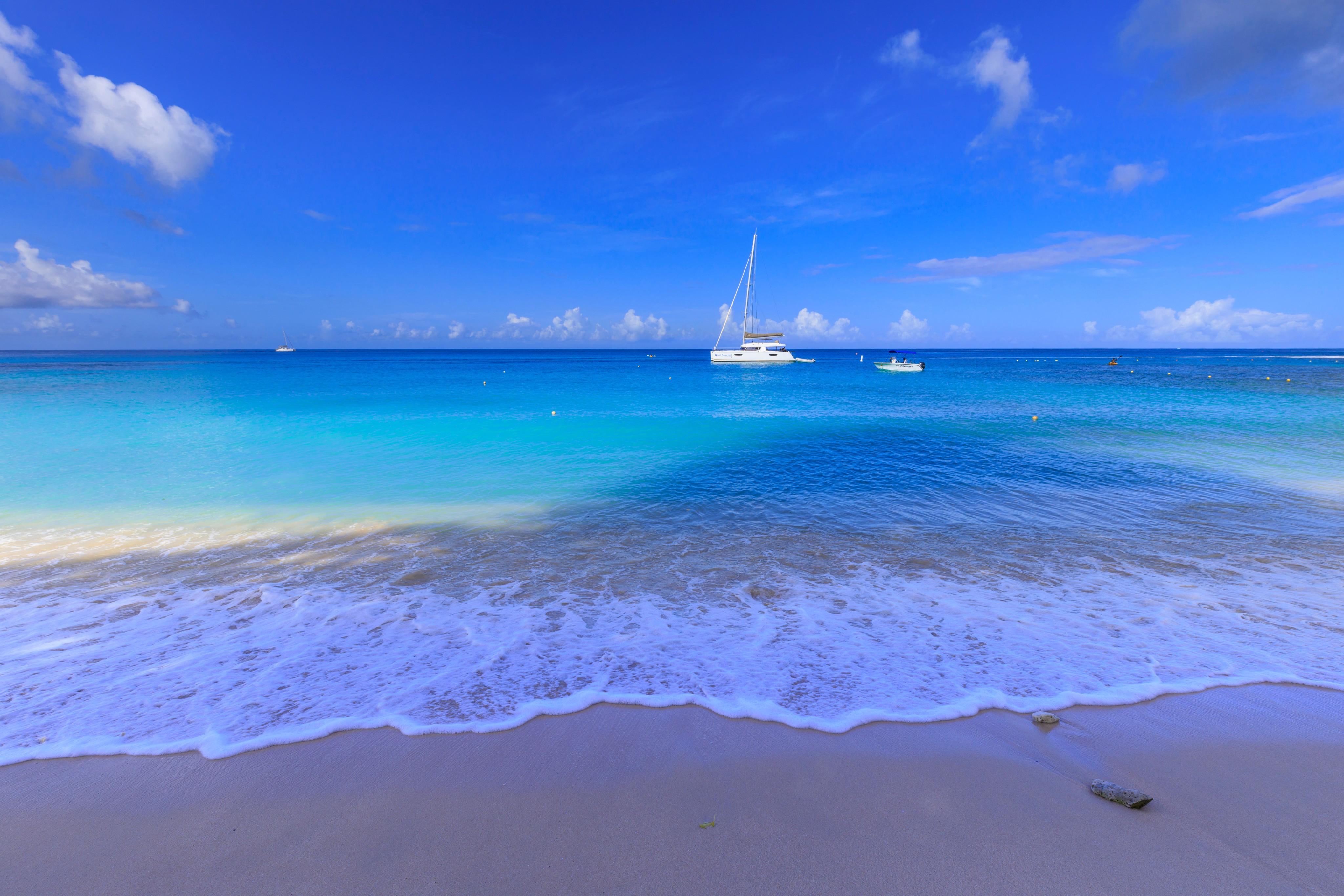 shutterstock_1727166460--1-