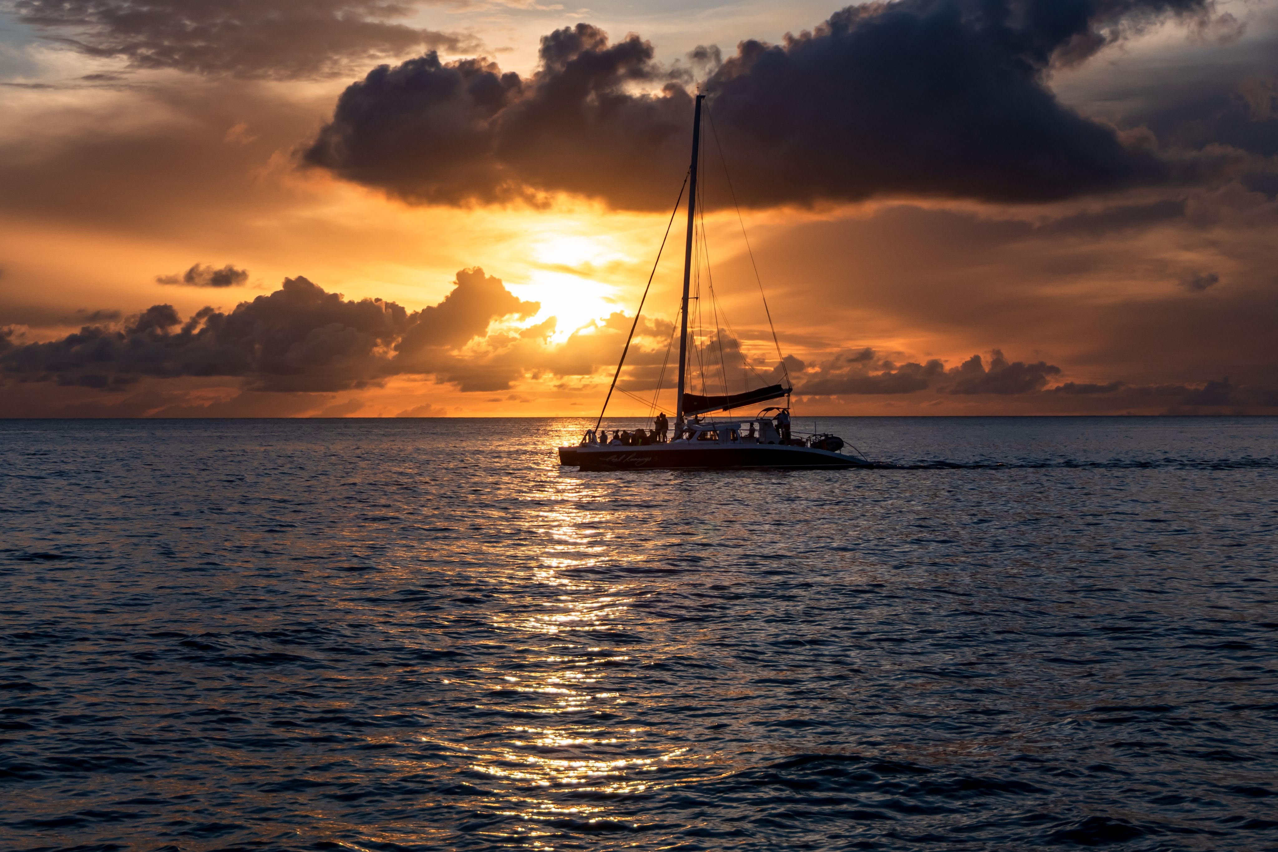shutterstock_2359404081--1-