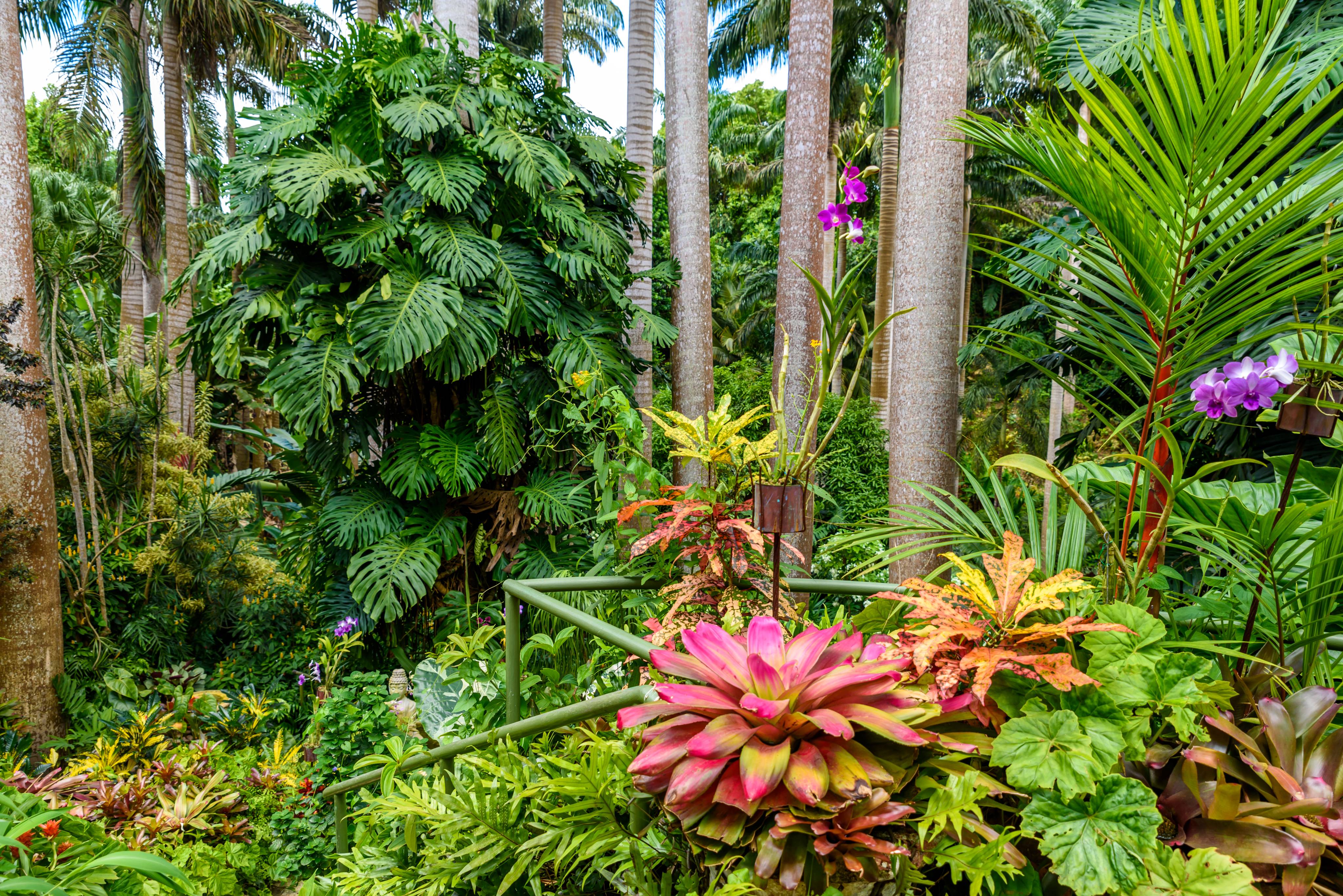 All You Need to Know About Hunte's Botanical Gardens in Barbados