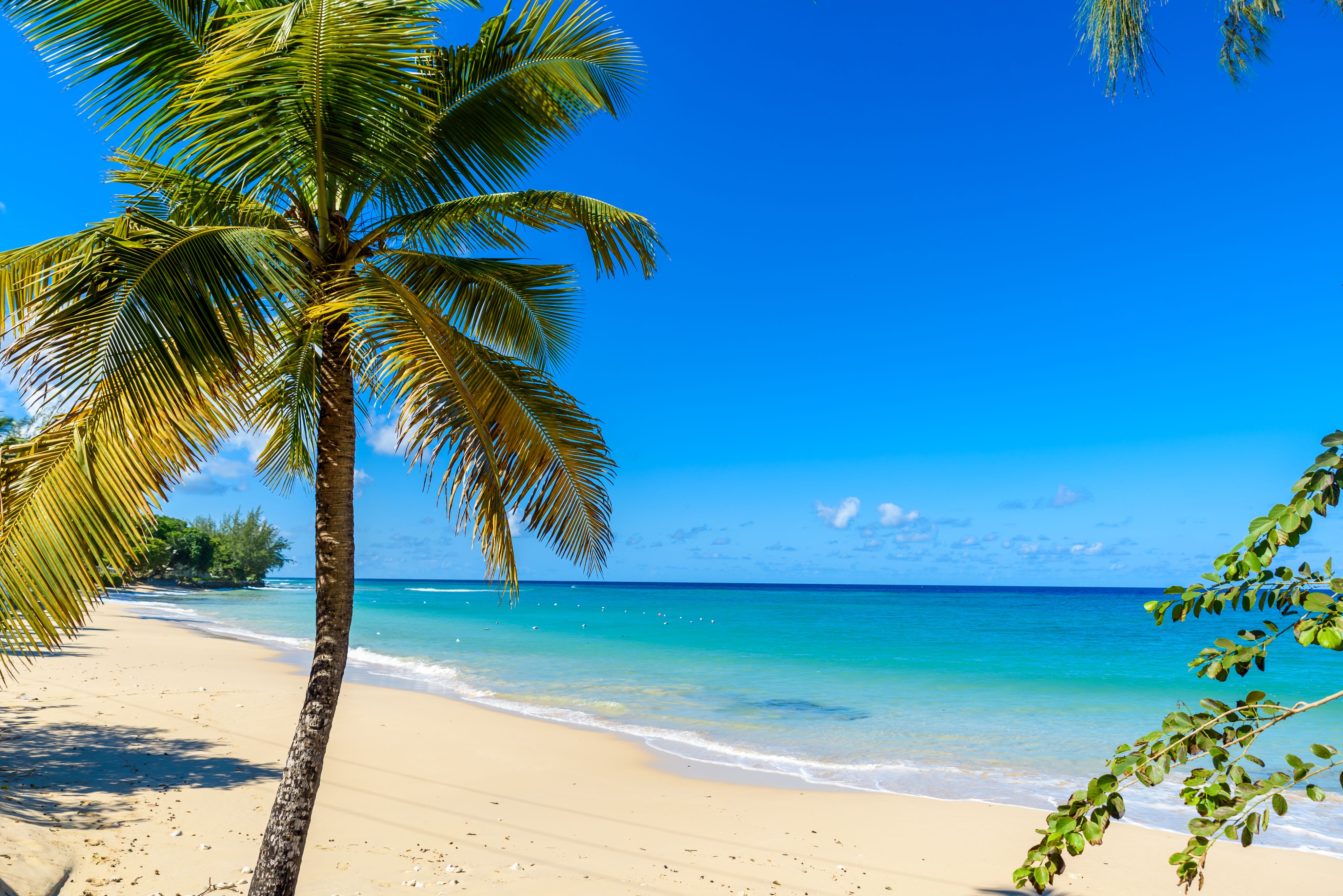 Mullins Beach Barbados: Everything You Need to Know Before You Go