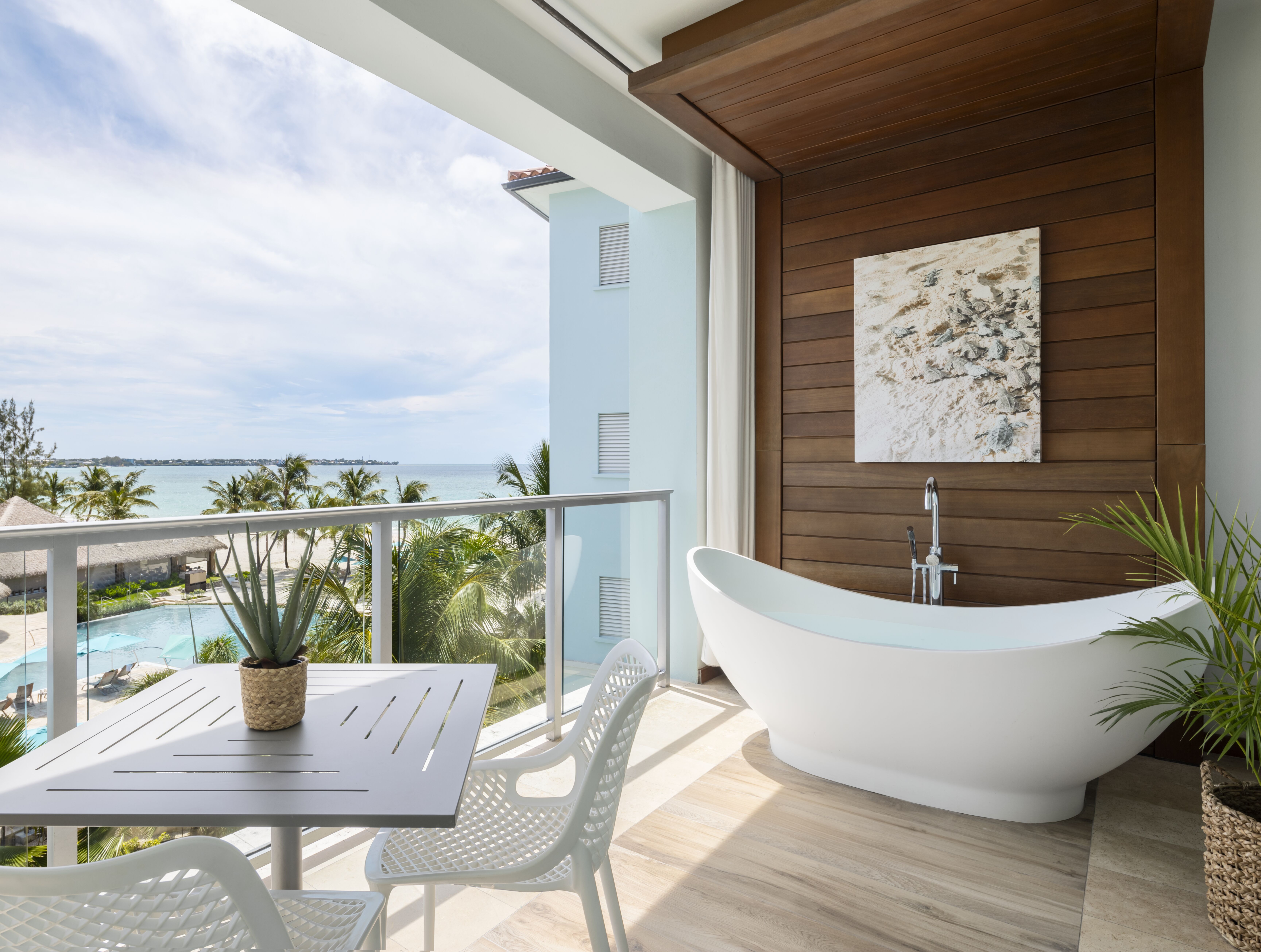 Discover Garrison Savannah: The Beating Heart of Barbados' Heritage