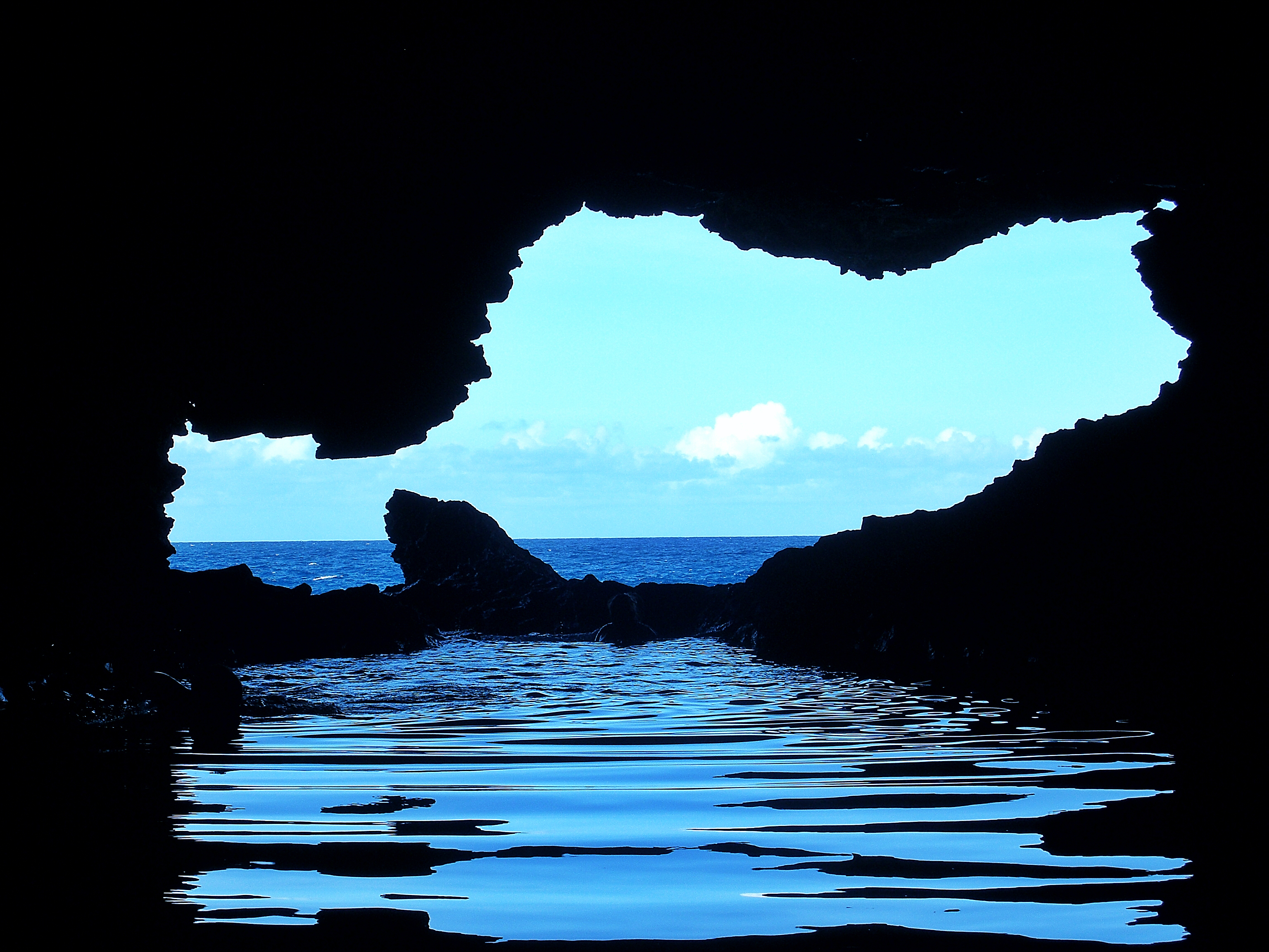 Barbados' Best Natural Attraction: Animal Flower Cave