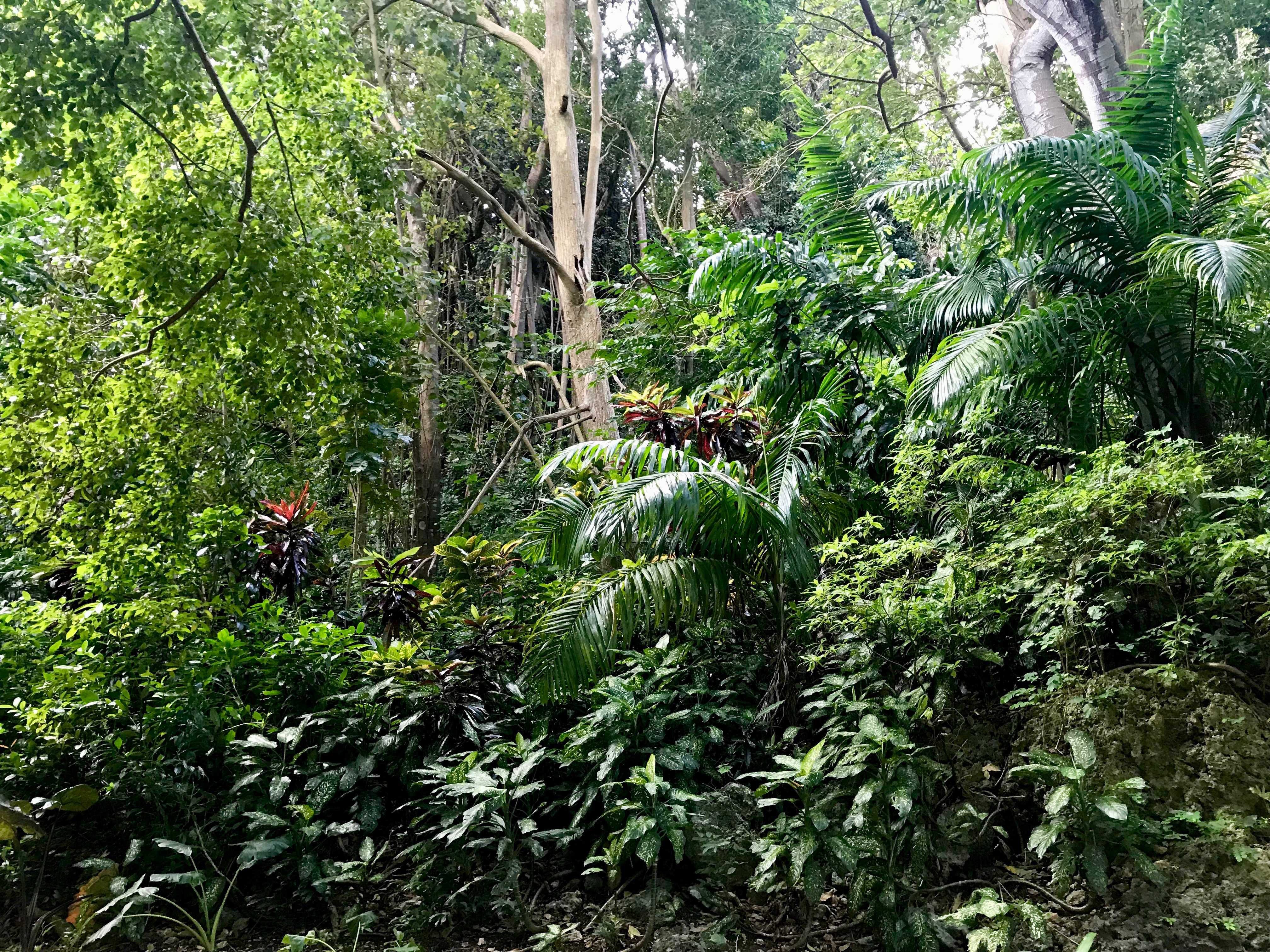 shutterstock_1084033832--1-