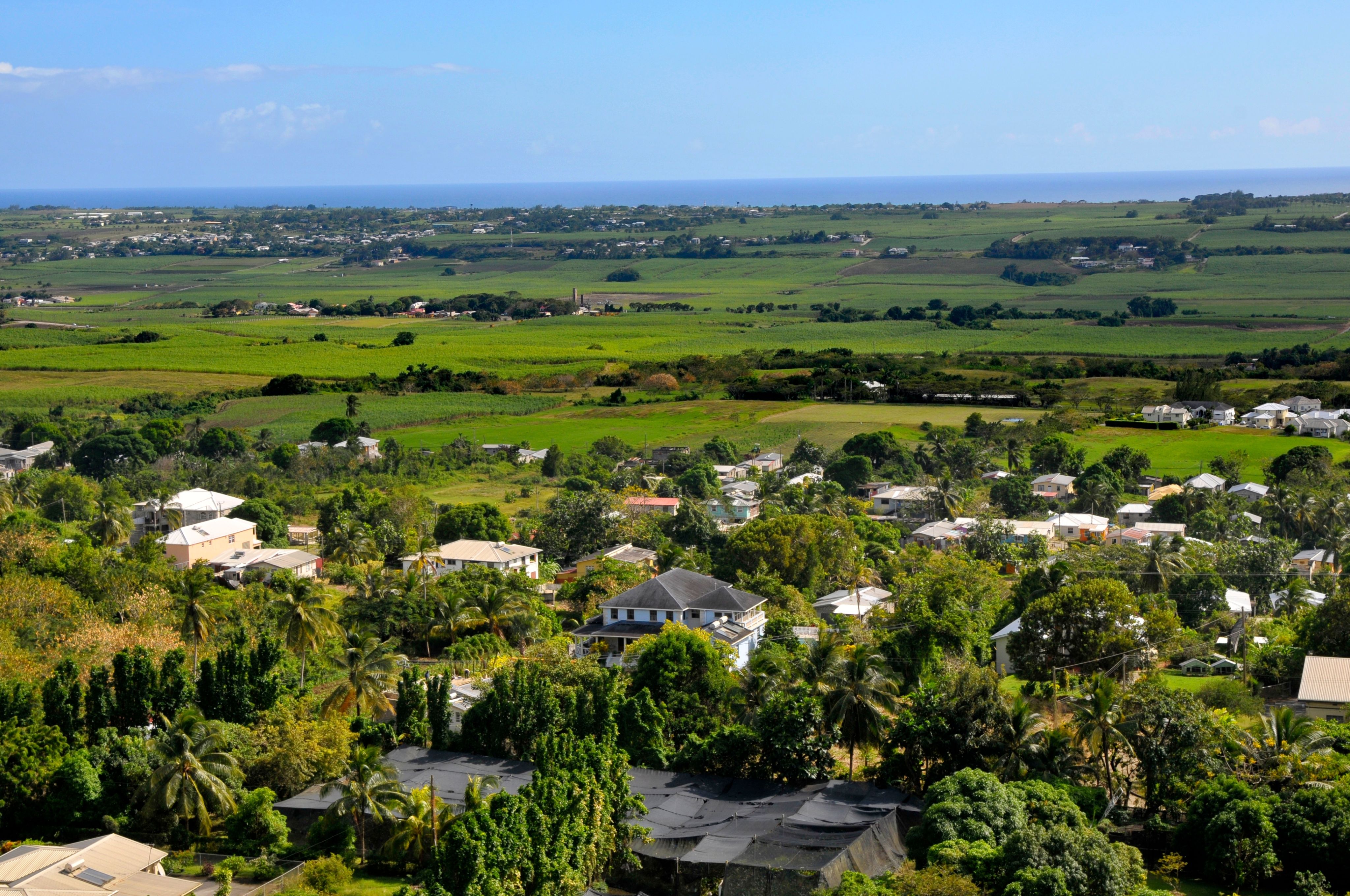 shutterstock_2392212759--1-