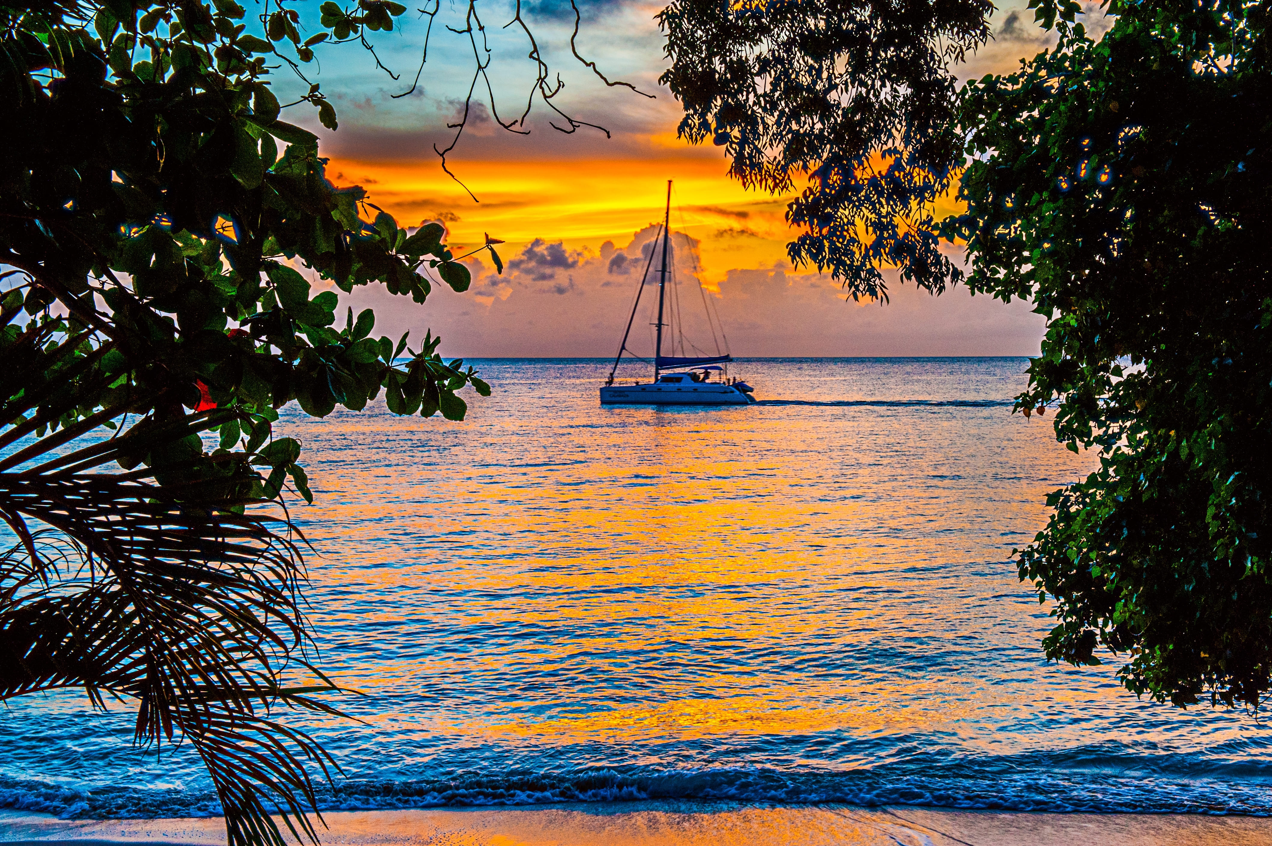 shutterstock_2655549351--1-