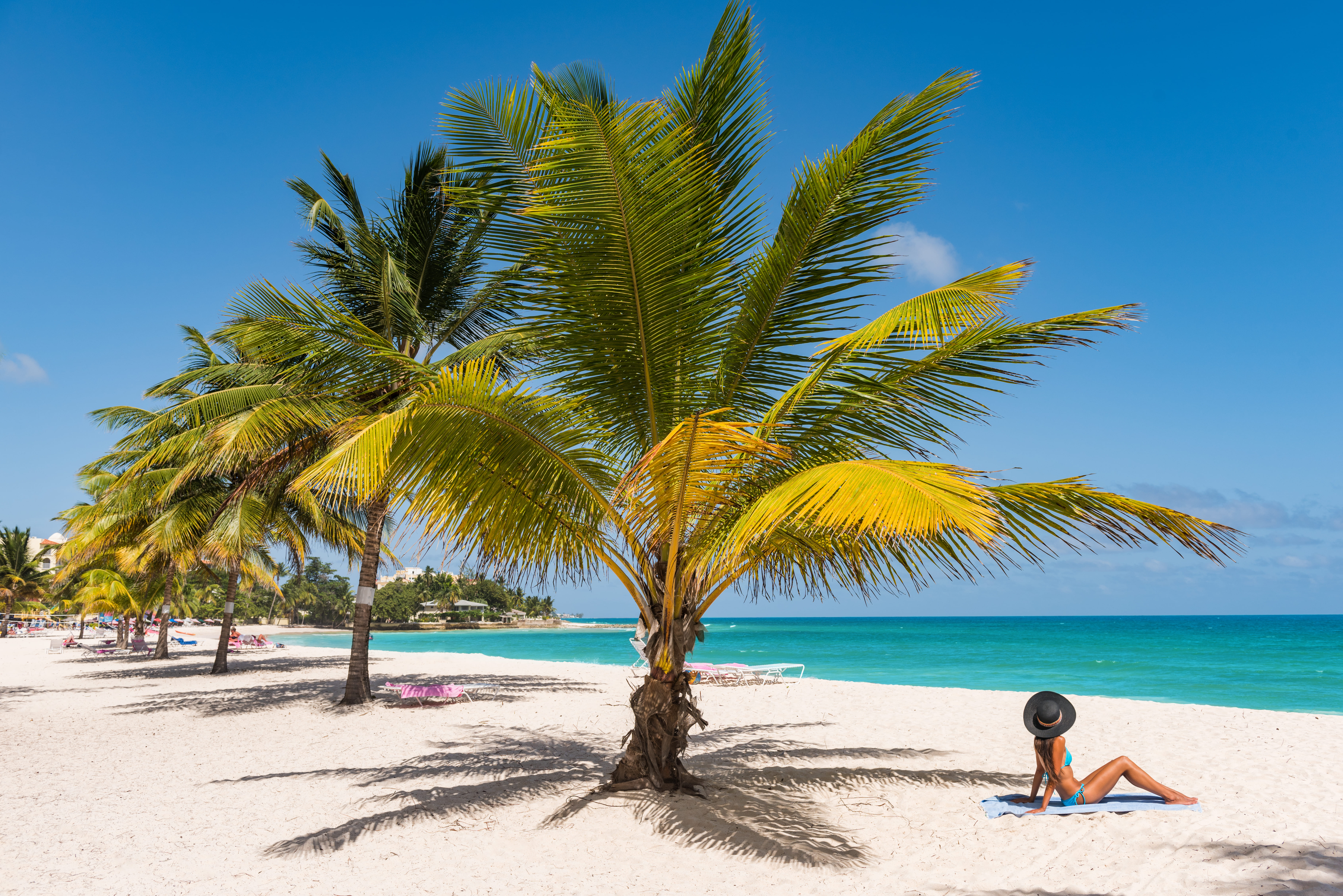 shutterstock_1033999051--1-